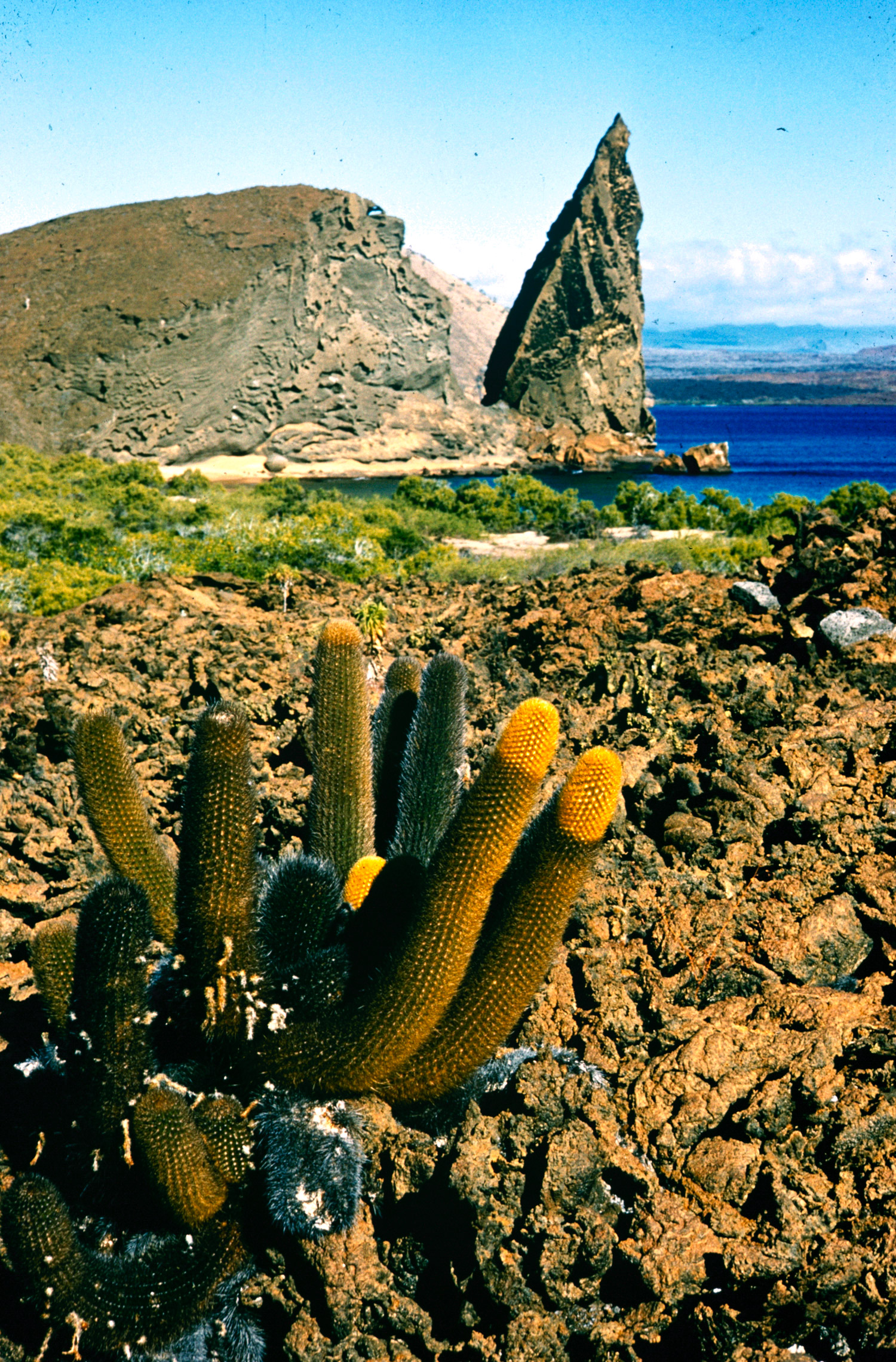 Galapagos Islands 1957
