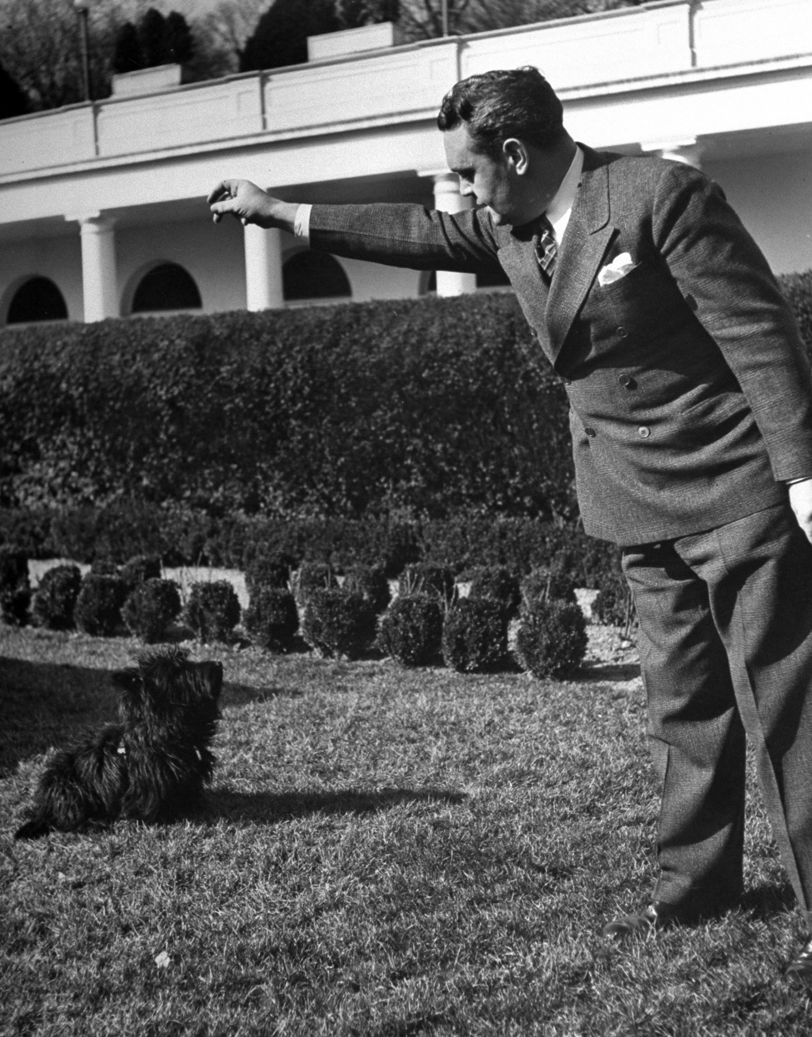 Fala at the White House, 1941.