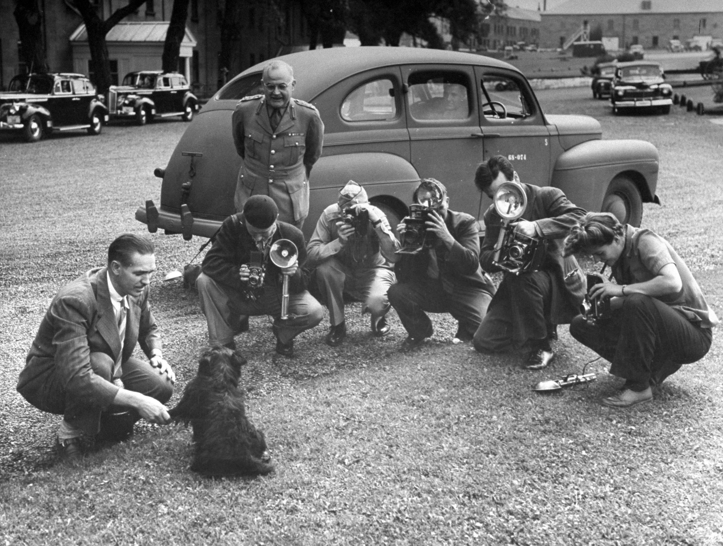 Photographers taking pictures of FDR's dog, Fala, during the Quebec Conference meeting. 1943.