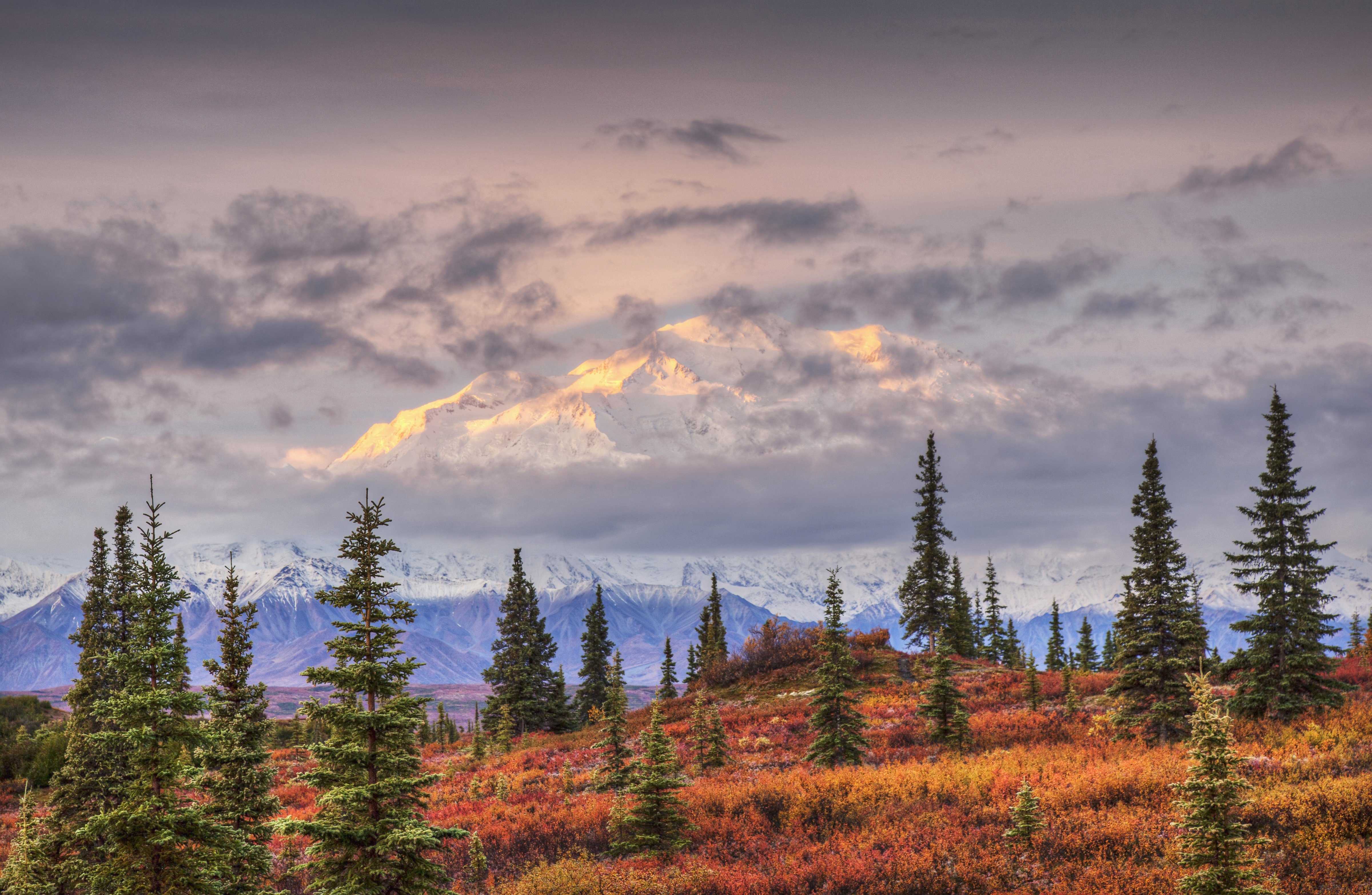 North face of Mt. Denali and fall colored tundra with early morning light filtered by a thin layer of clouds over the mountain as seen from Wonder Lake campground, Denali National Park, Alaska. Fall. (Getty Images)