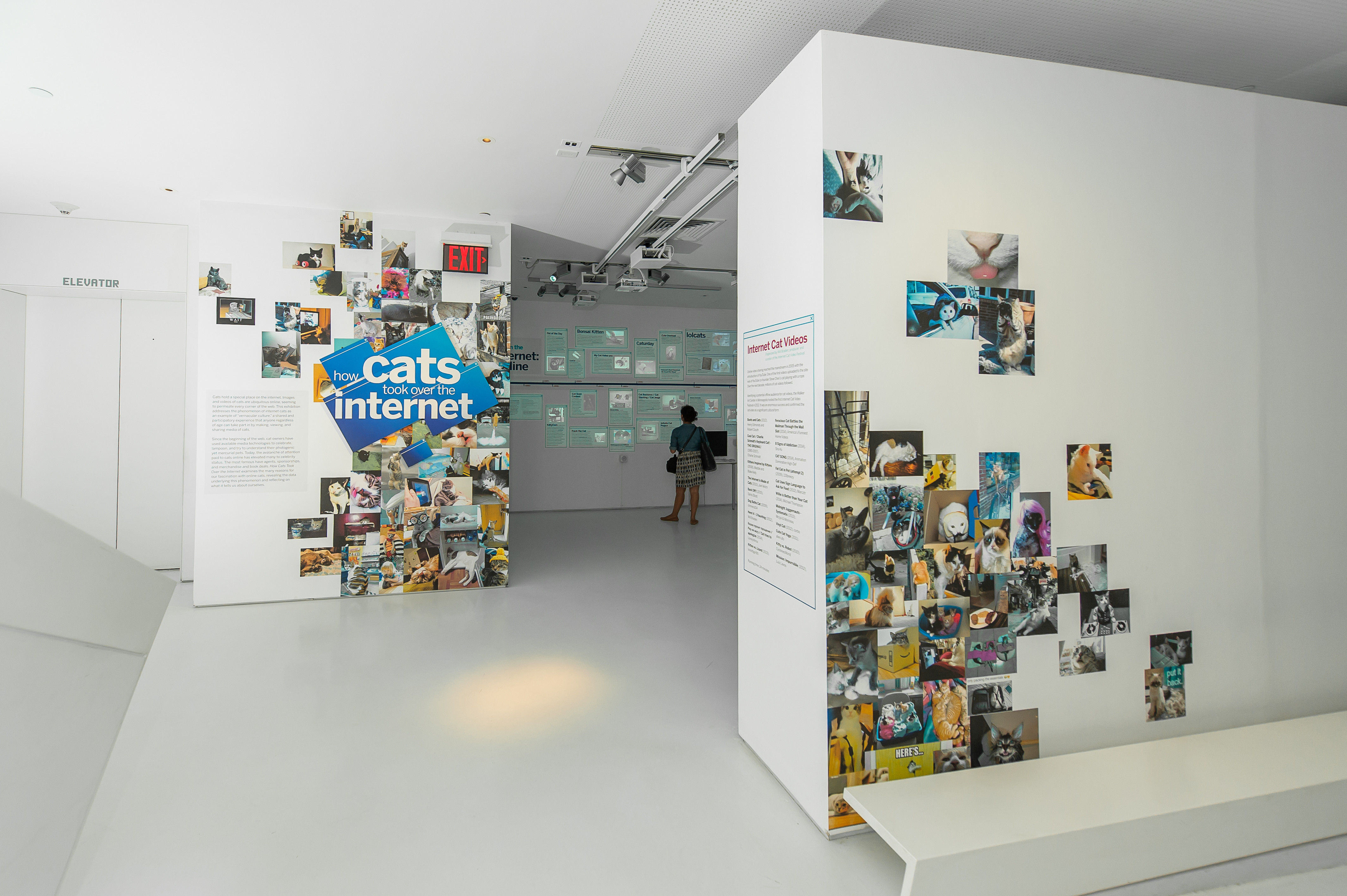 The "How Cats Took Over the Internet" exhibit at the Museum of the Moving Image in Queens, New York. (Thanassi Karageorgiou / Museum of the Moving Image)