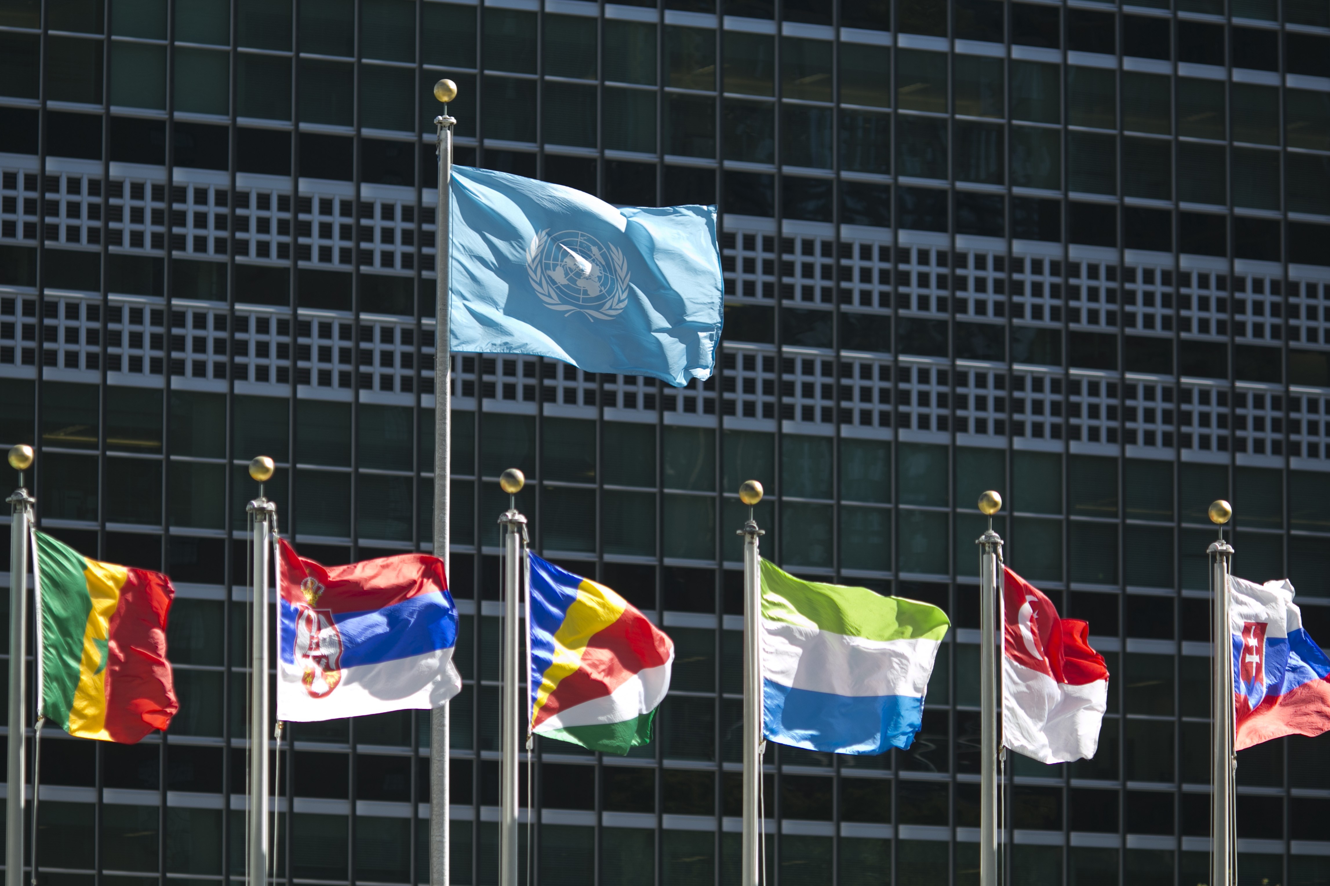 International flags fly in front of the United Nations headquarters on Sept. 24, 2015, before the start of the 70th General Assembly meeting. (Dominick Reuter—AFP/Getty Images)