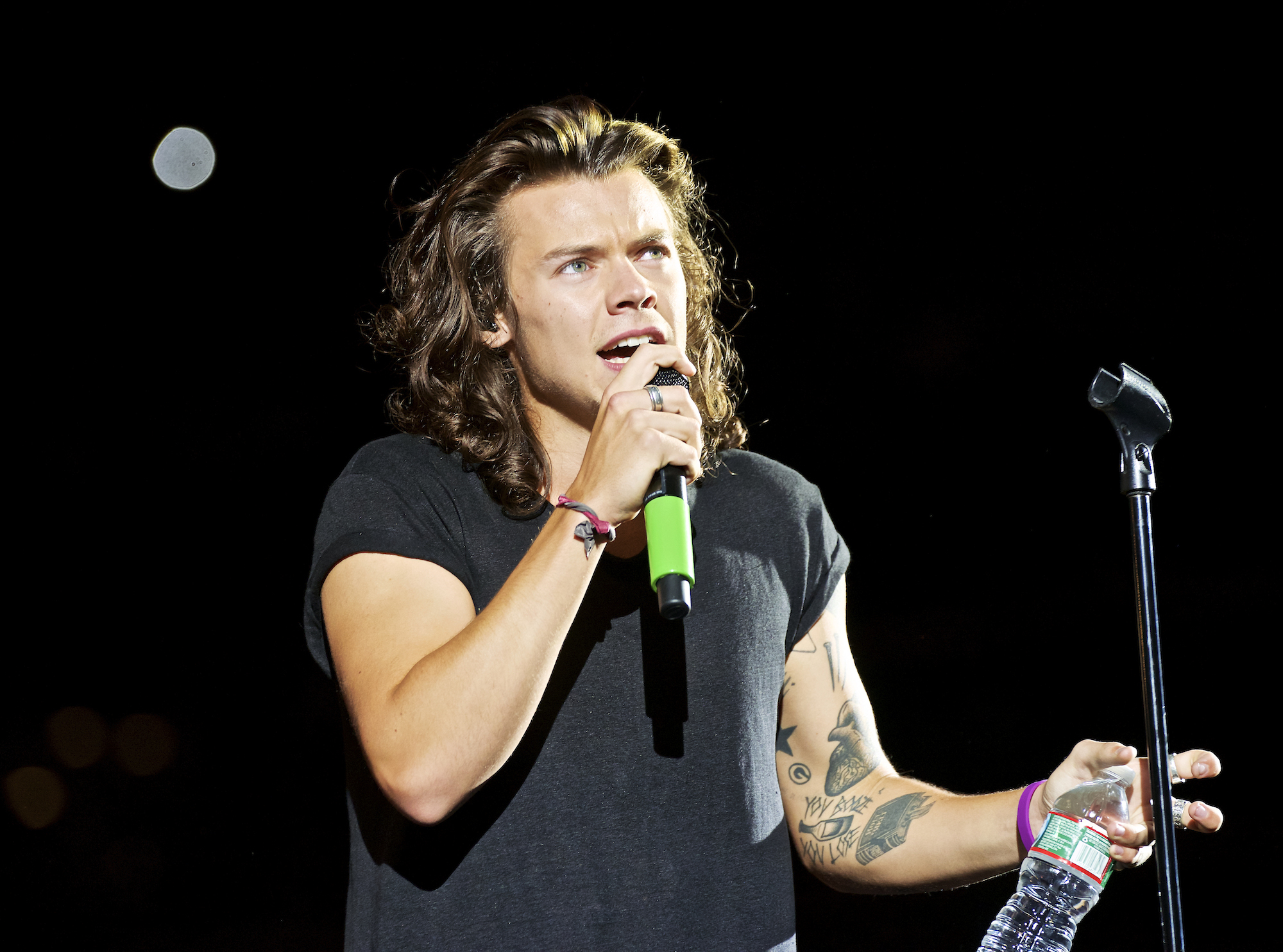 Harry Styles of One Direction performs at MetLife stadium on Aug. 5, 2015, in East Rutherford, N.J. (Robert Altman—Invision/AP)