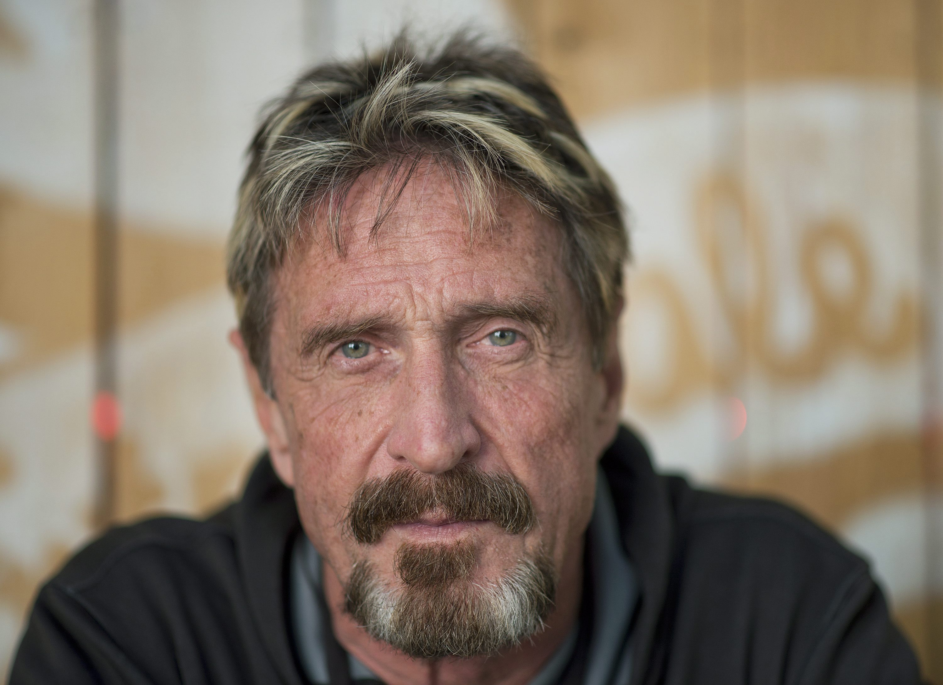 Antivirus pioneer John McAfee poses for a photograph in Montreal on Aug. 24, 2013. (Graham Hughes—AP)
