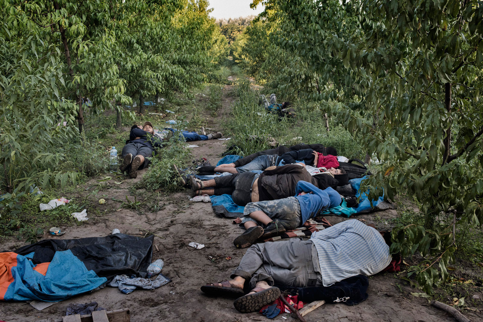 A group of migrants takes a rest before crossing into the European Union through the border between Serbia and Hungary. 
                              Roszke, Hungary, Aug. 30, 2015.
