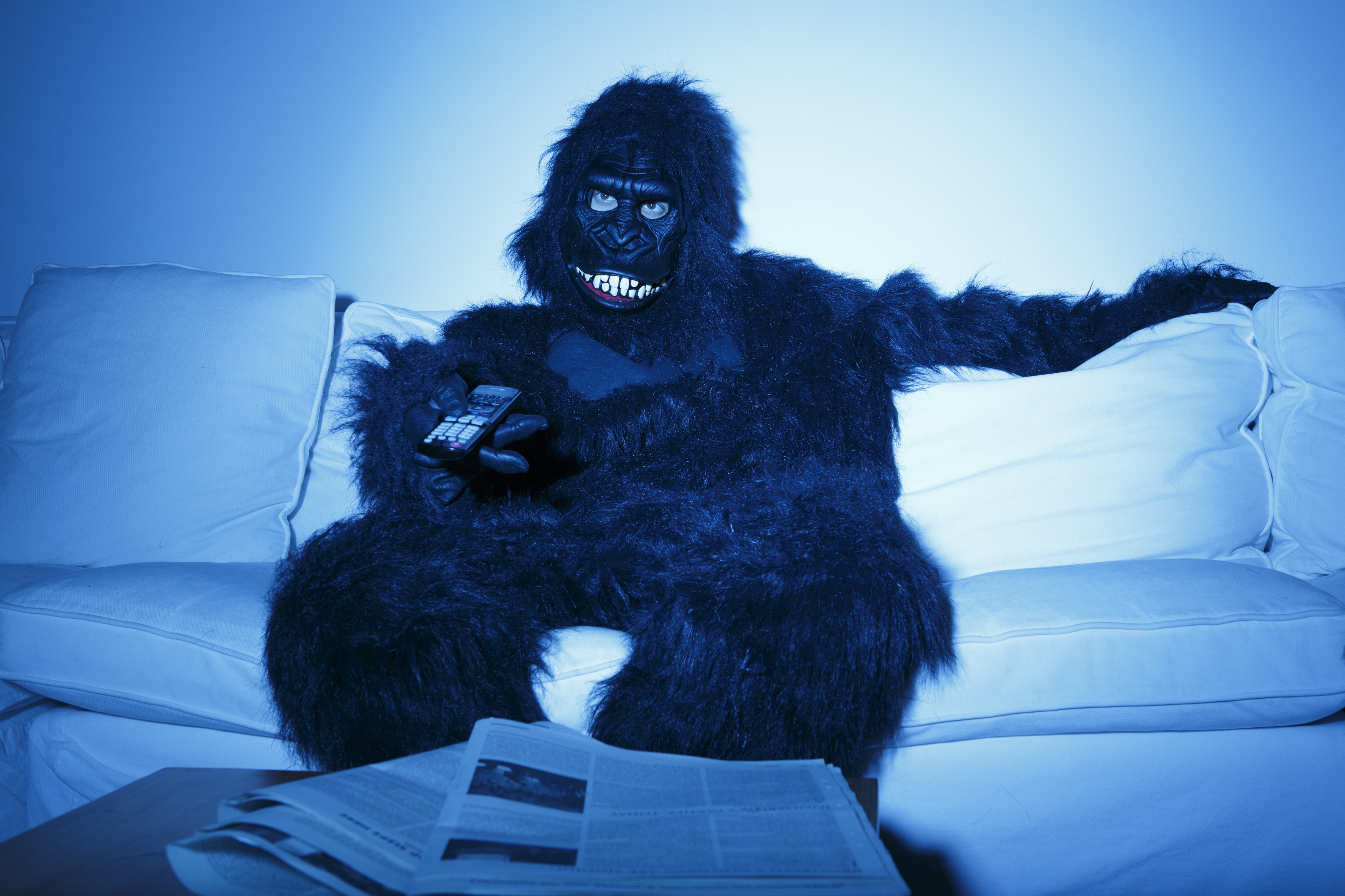 Ape Watching TV