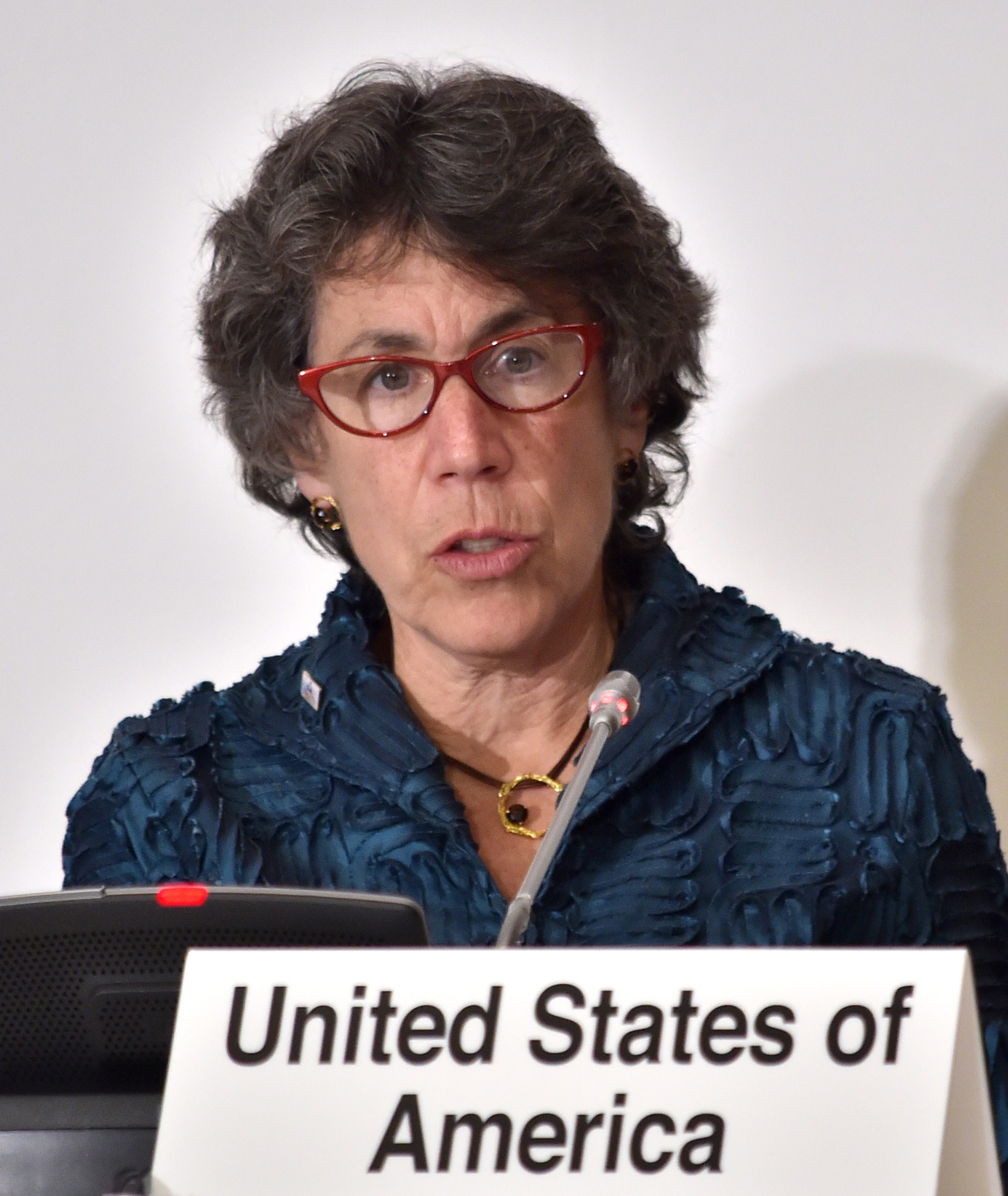 Nicole Lurie, assistant secretary for preparedness and response of the US, speaks during a press conference for the 15th Global Health Security Initiative Ministerial Meeting in Tokyo on Dec. 11, 2014.