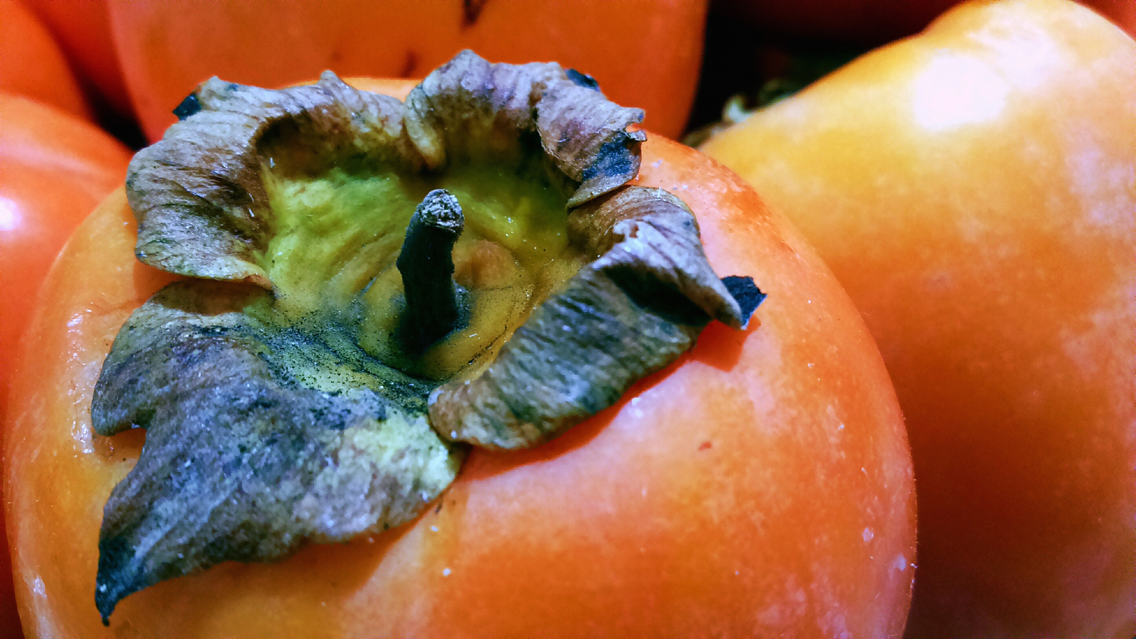 You can really only eat persimmons in the fall.  Sliced in a salad is pretty amazing,  Romano says.