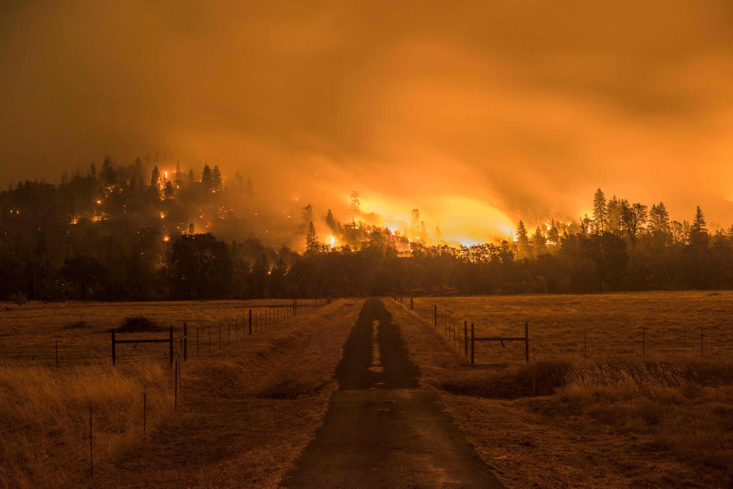 The Valley Fire burns off Highway 29 Sunday evening. Valley Fire in Lake and Sonoma Counties Sunday September 13th, 2015. As of Sunday evening the fire had burned over 50,000 acres and was 0% contained. The Associated Press reported that at least one person was killed due to the fire.