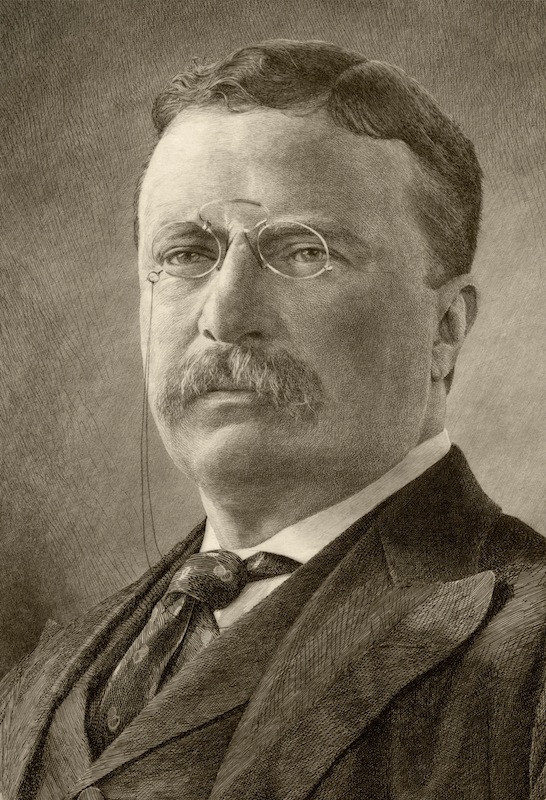 Theodore D. Roosevelt, 1858 to 1919. 26th President of the United States.
