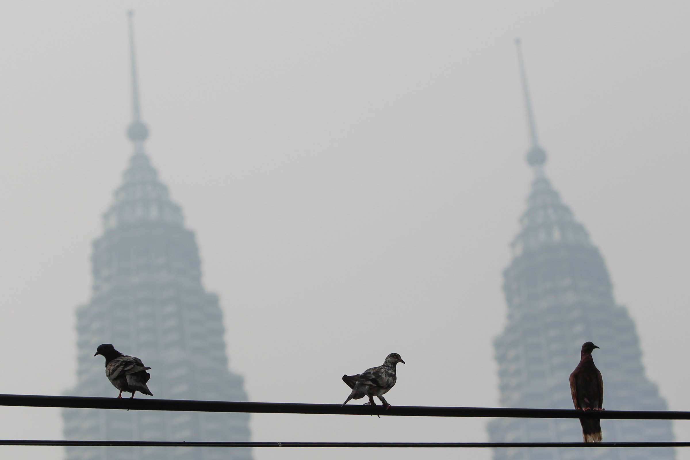 Malaysia Haze