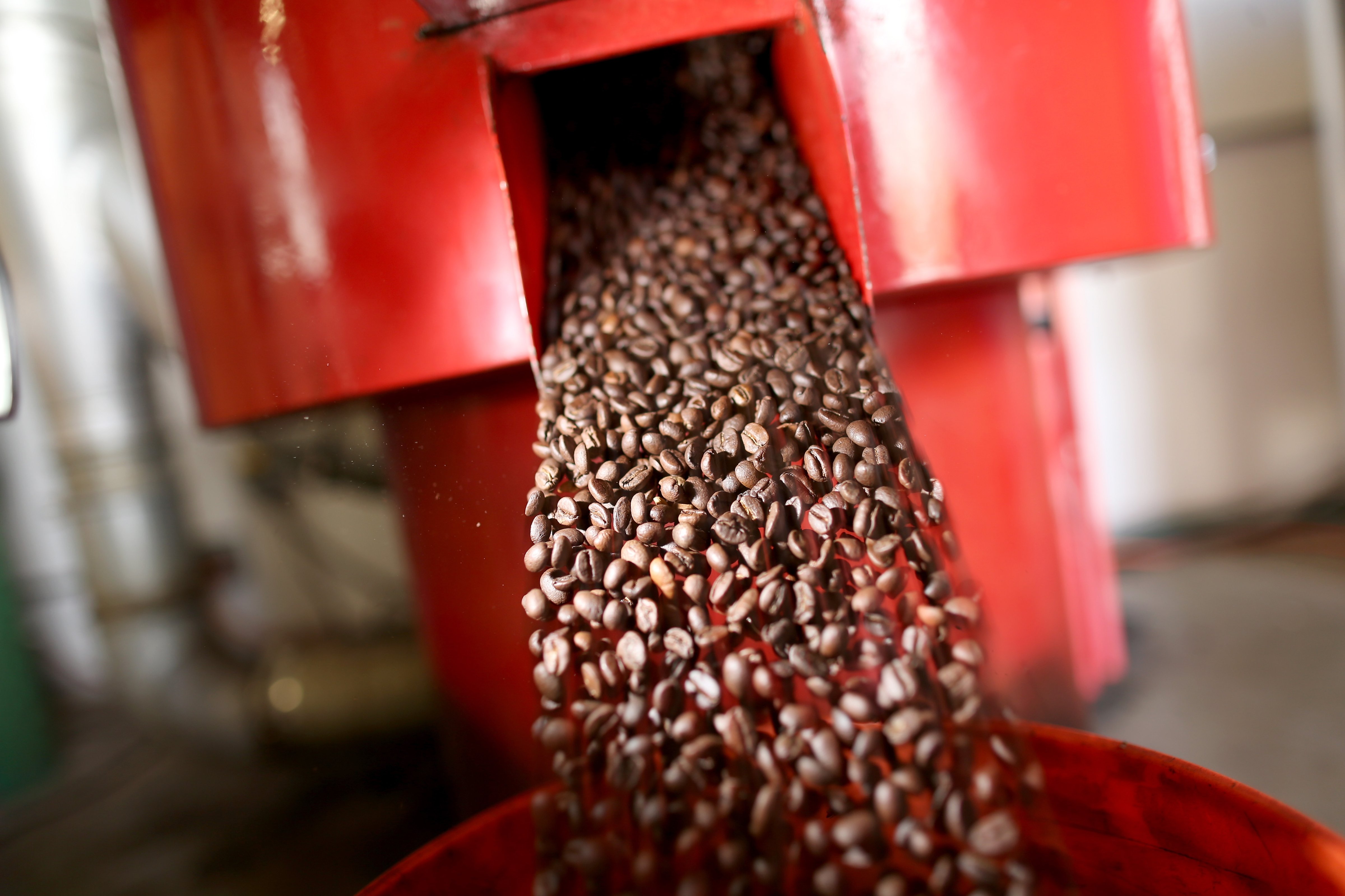 Coffee beans are seen in the roaster during the process of making the Miami Beach blend of coffee at the Kana Coffee Roasters on March 10, 2015 in Margate, Florida. (Joe Raedle—2015 Getty Images)