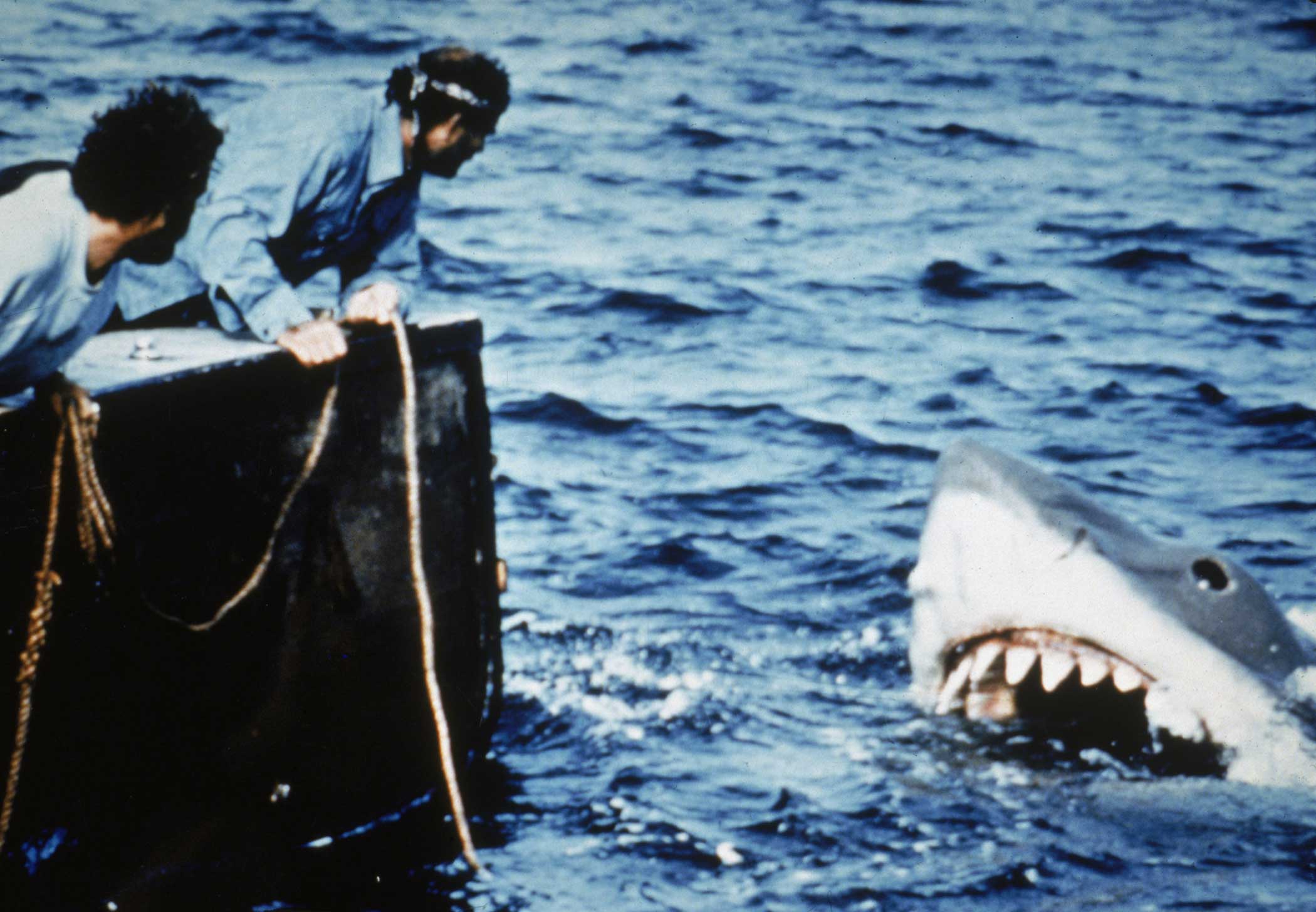 Jaws from Jaws, 1975.