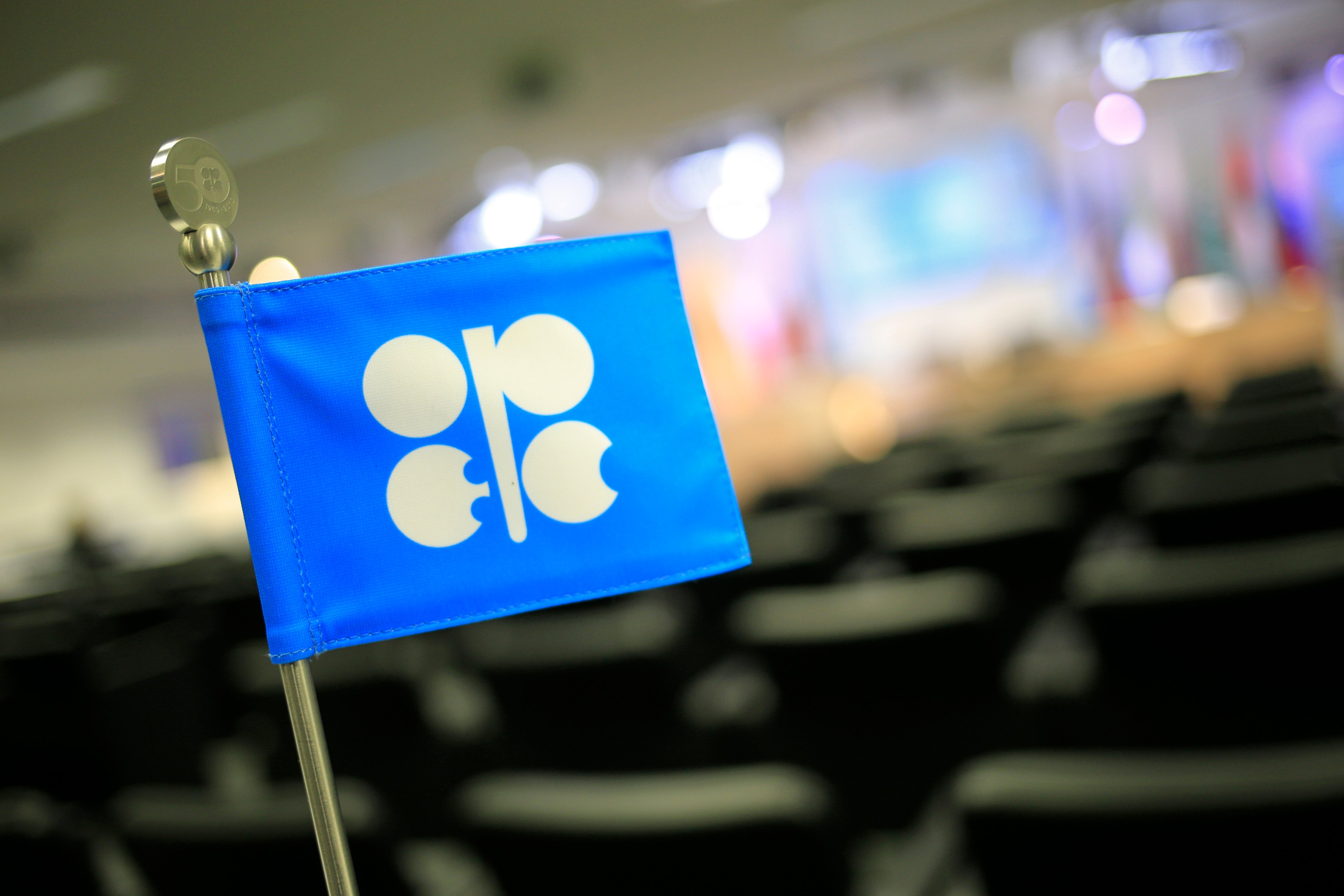 The OPEC (Organization of the Petroleum Exporting Countries) flag at the 164th OPEC meeting in Vienna on Dec. 3, 2013.