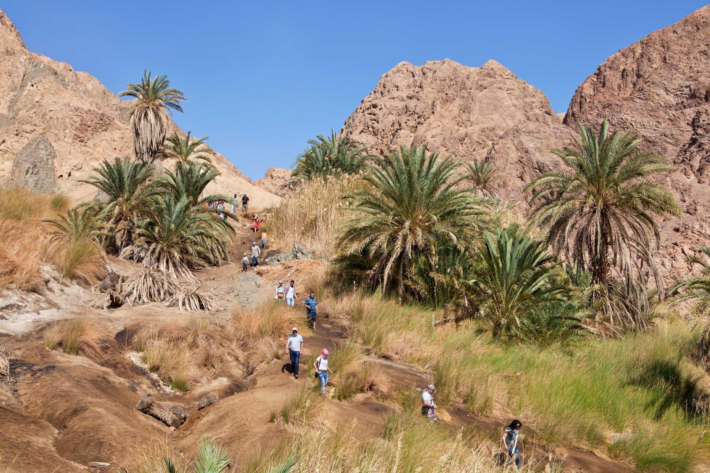 Sinai Park