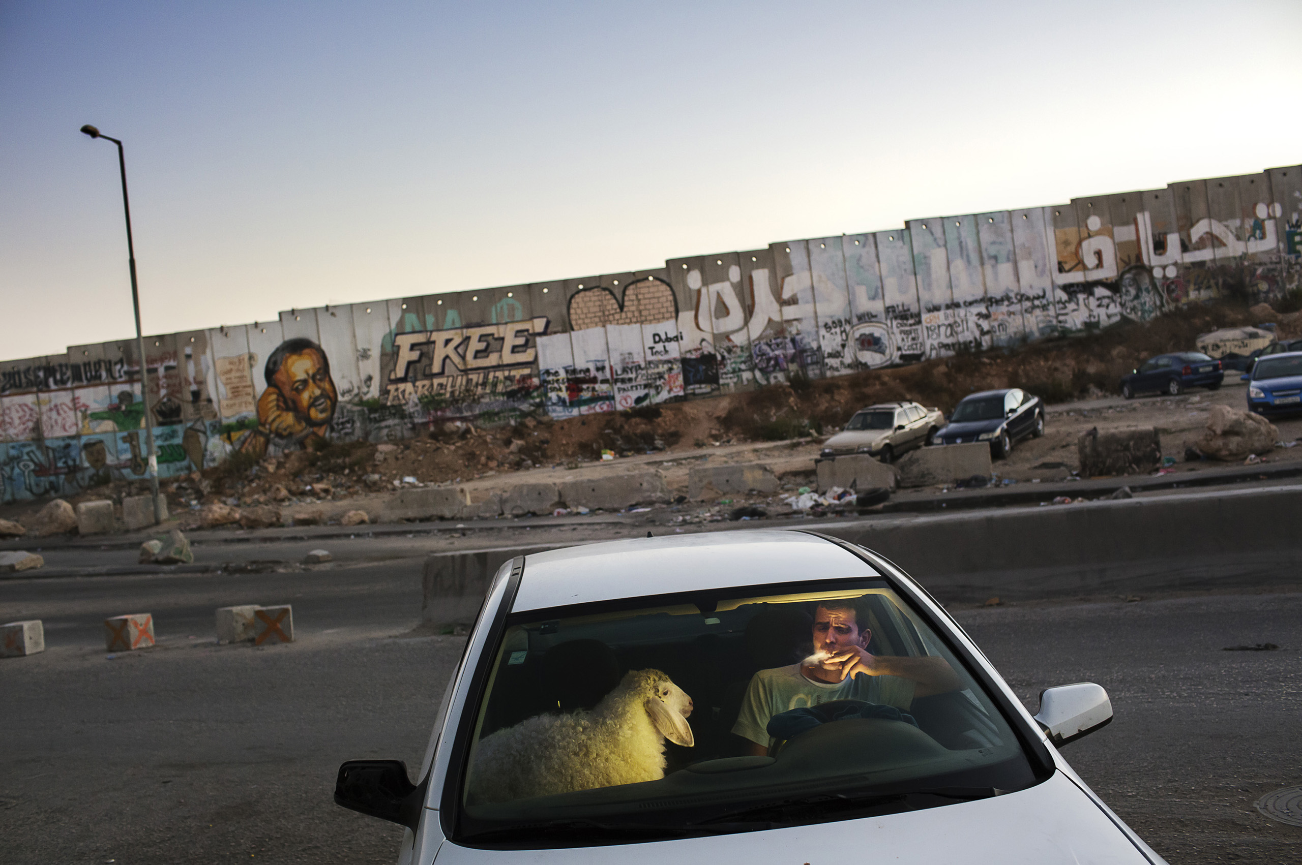 After grueling traffic at the Qalandia checkpoint, a young man enjoys a cigarette in his car as traffic finally clears on the last evening of Ramadan. He is bringing home a sheep for the upcoming Eid celebration.