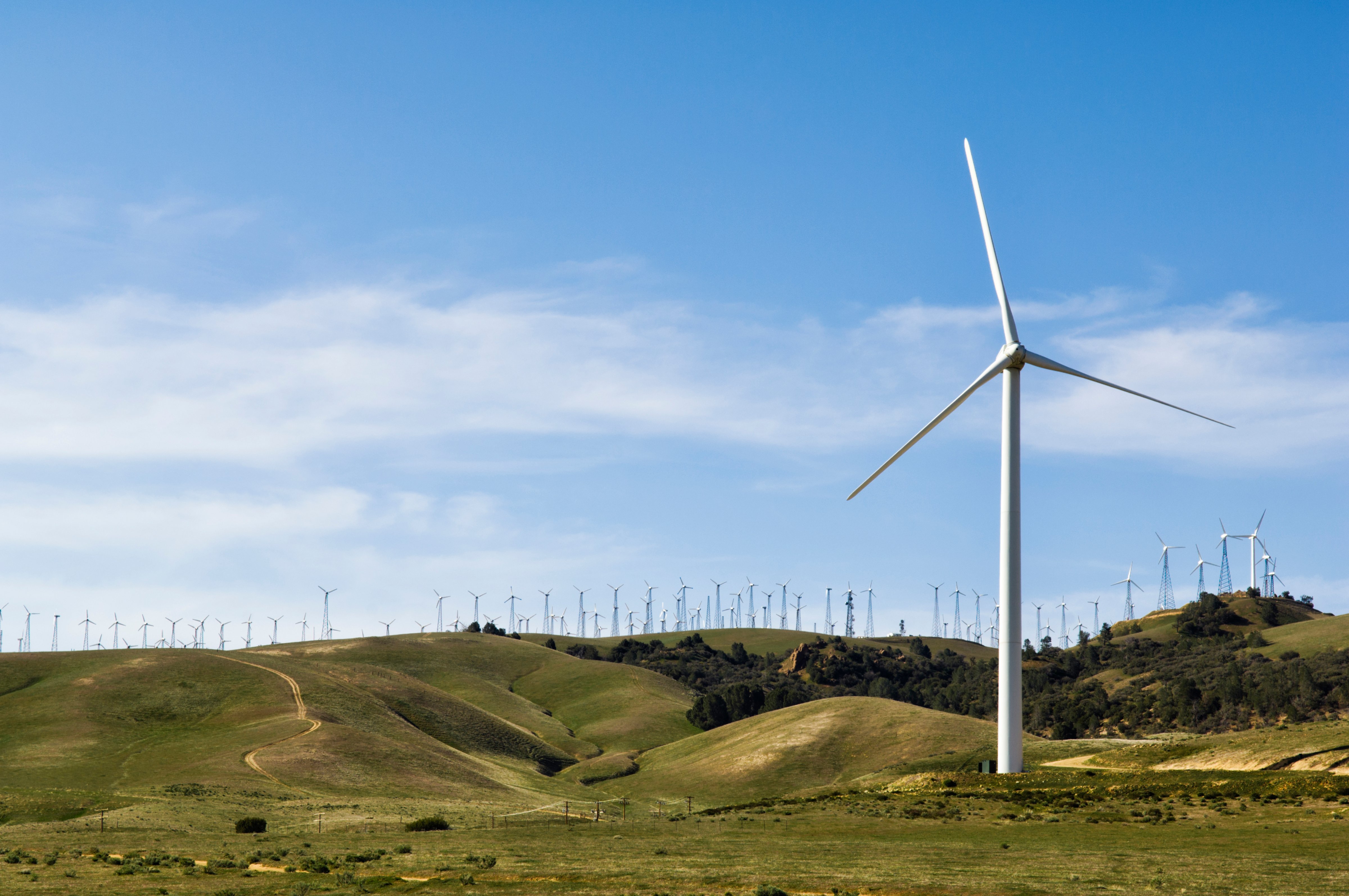wind-turbines-renewable-energy