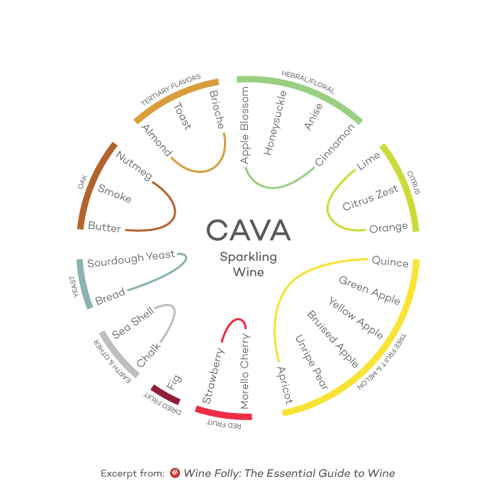 wine-guide-inforgraphic-cava-sparkling-wine