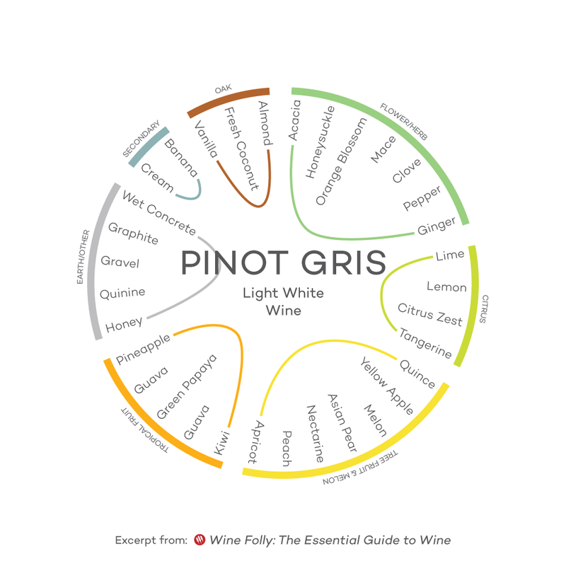 wine-guide-inforgraphic-pinot-gris-light-white-wine