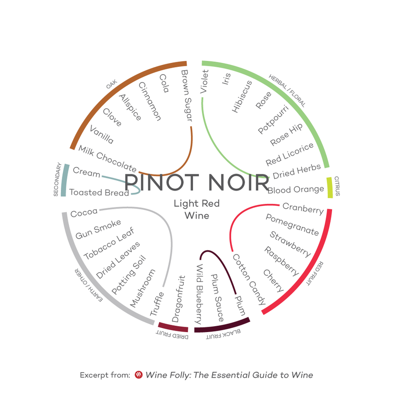 wine-guide-inforgraphic-pinot-noir-light-red-wine