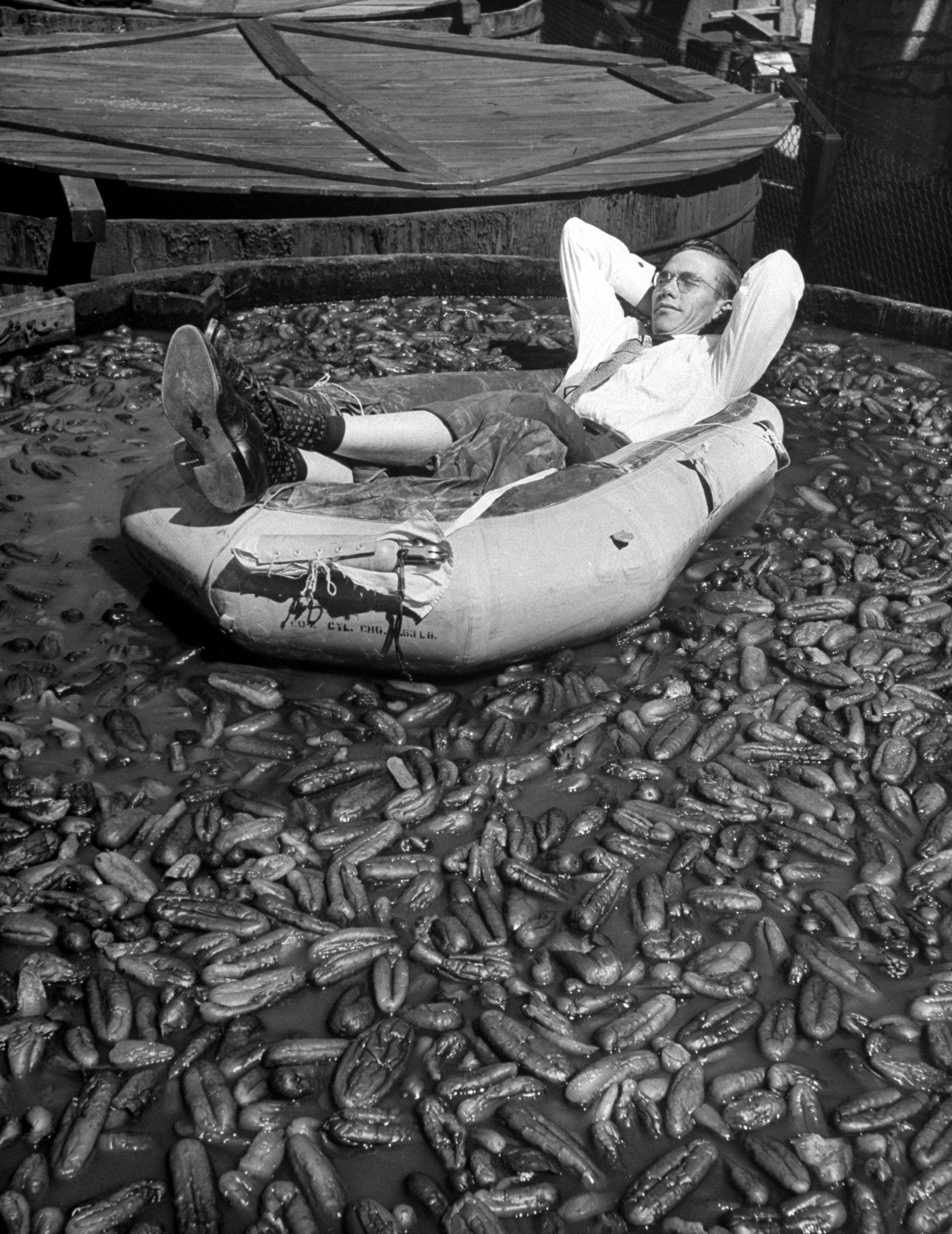 Mr. Dill Pickle of Mississippi reclines happily in a rubber boat amid 204,681 soggy pickles.