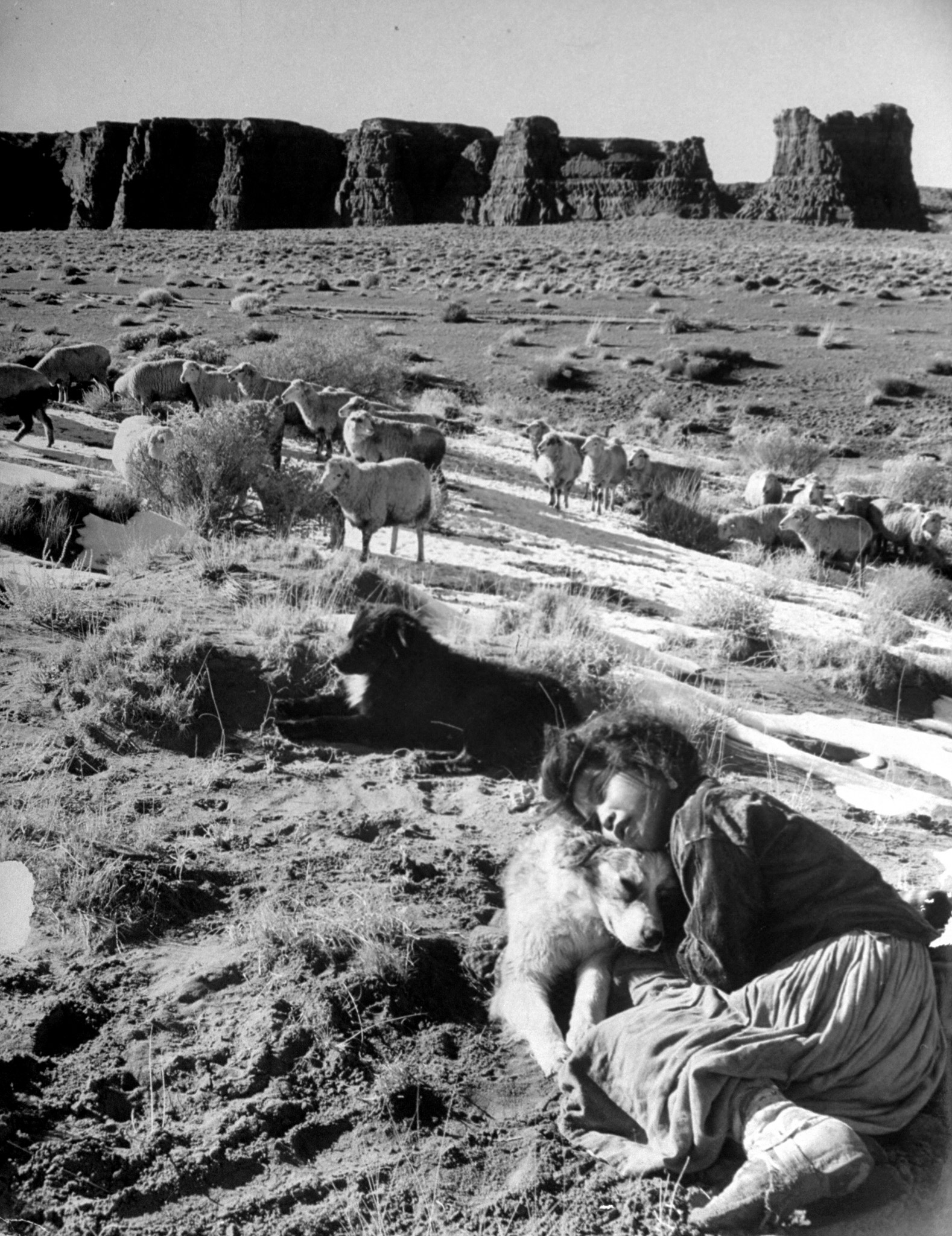A Navajo girl hugging her dog while she watches the sheep on the high plateau.