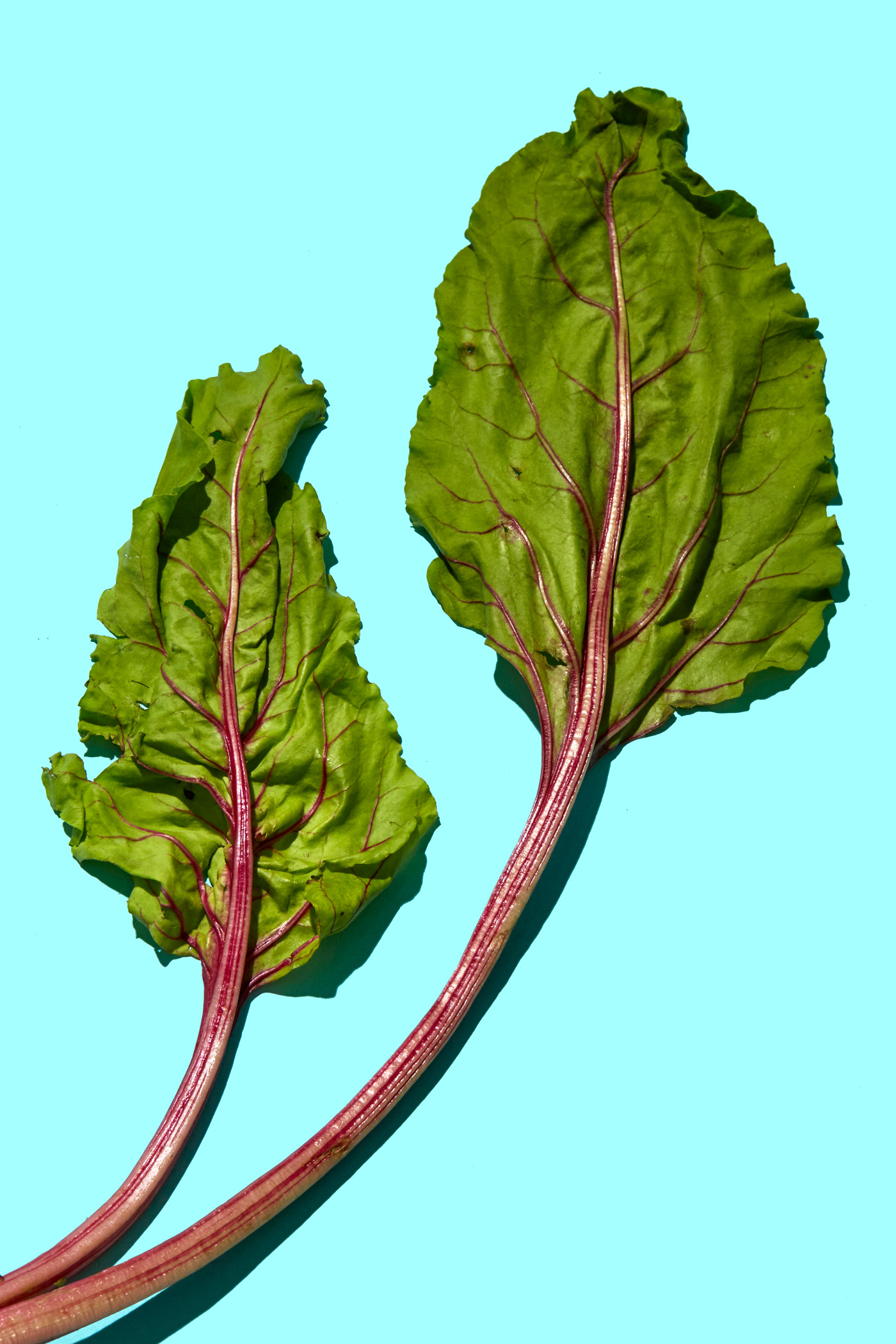 healthiest foods, health food, diet, nutrition, time.com stock, beet greens