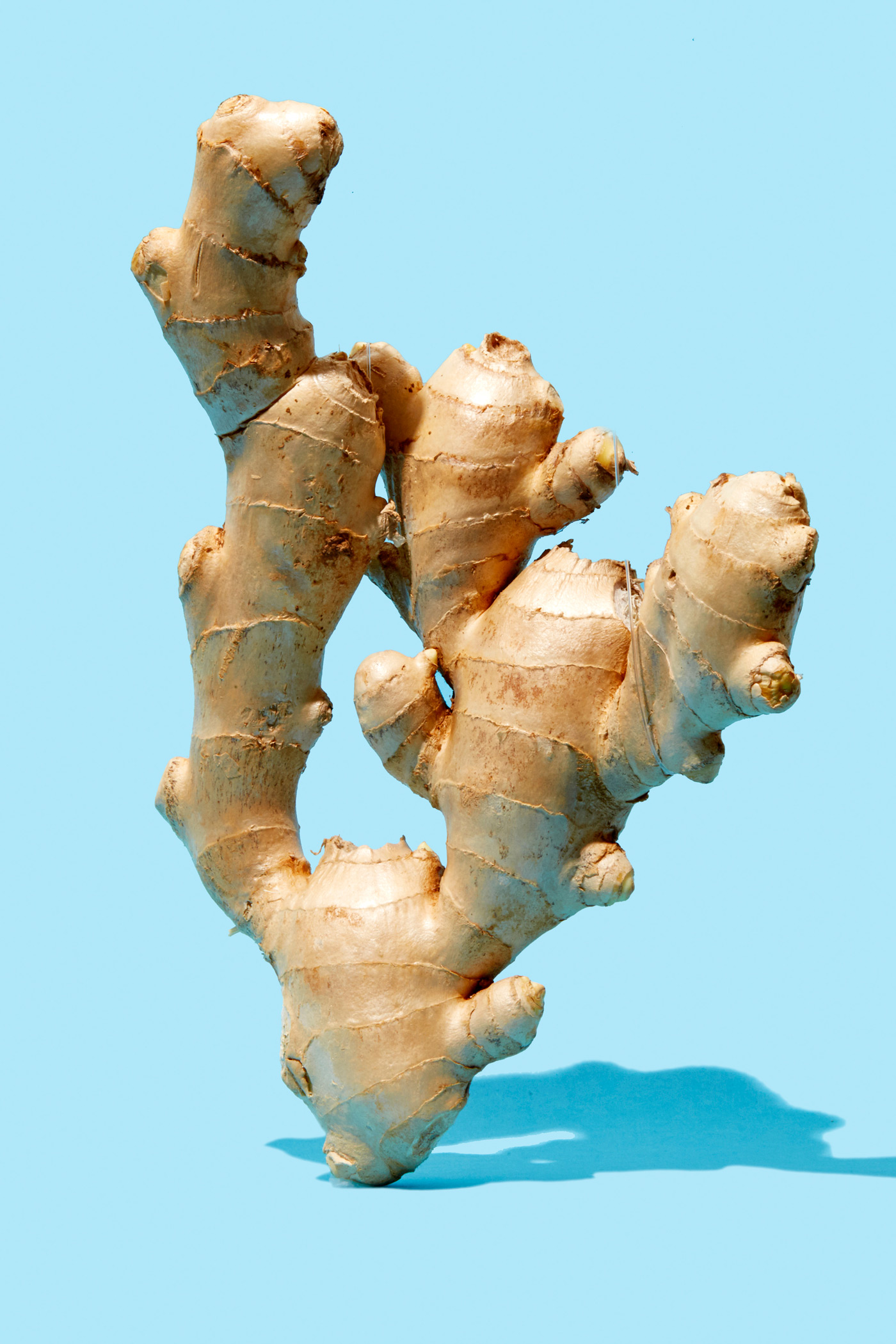 How Ginger Fights Body Fat, Obesity and Diabetes