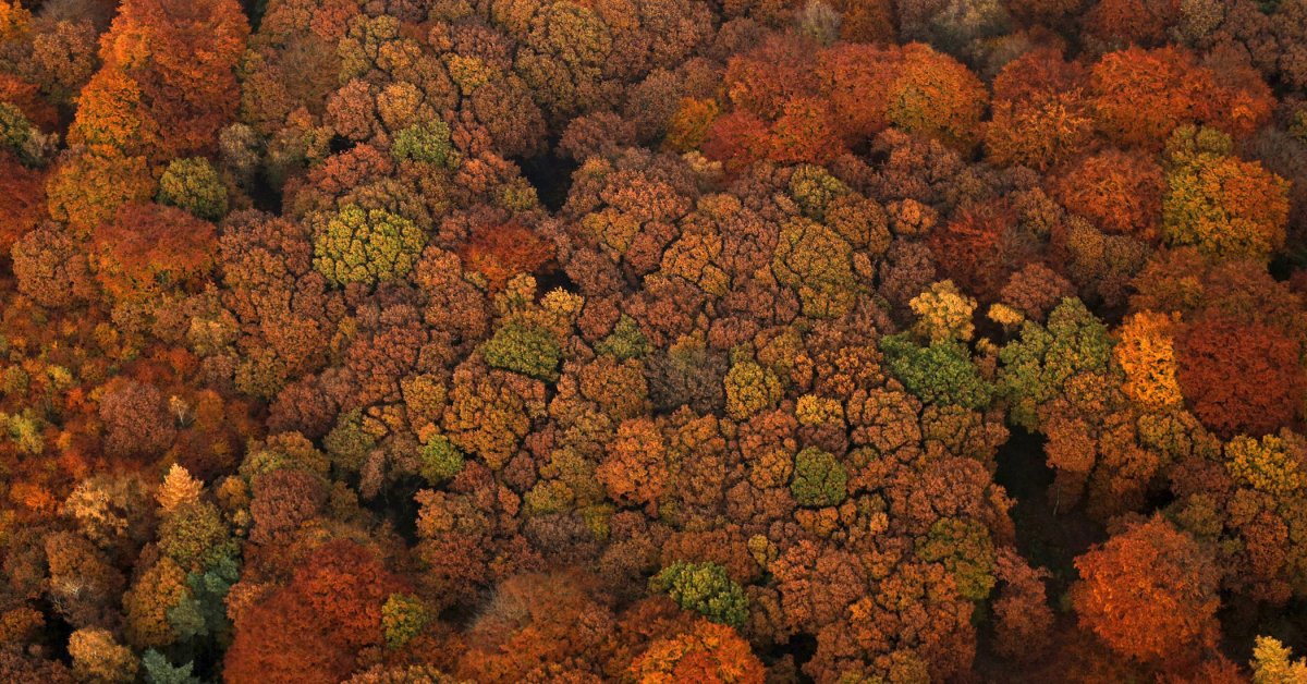 See the Breathtaking Colors of Germany in Autumn | Time