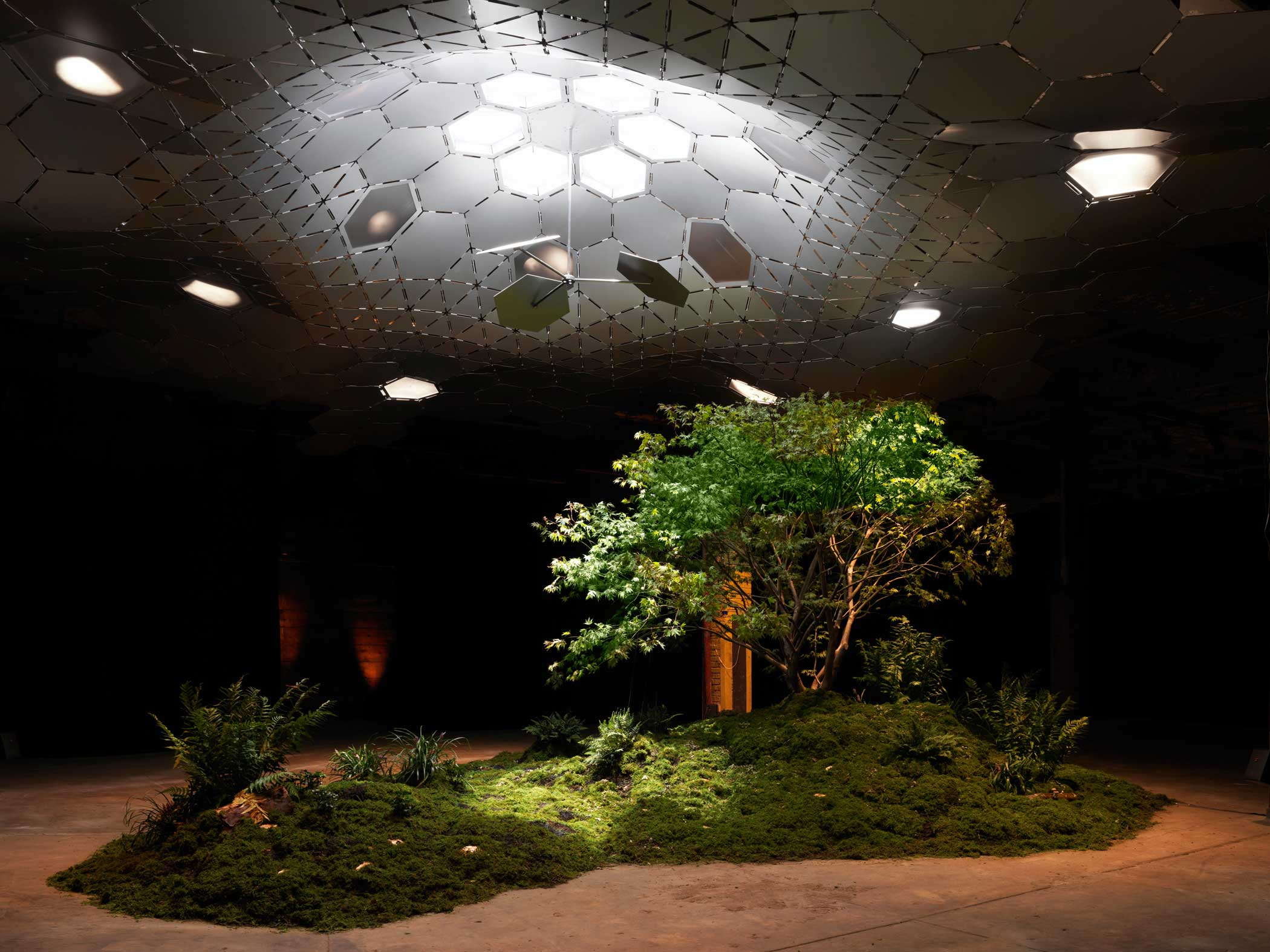 The Lowline in New York City