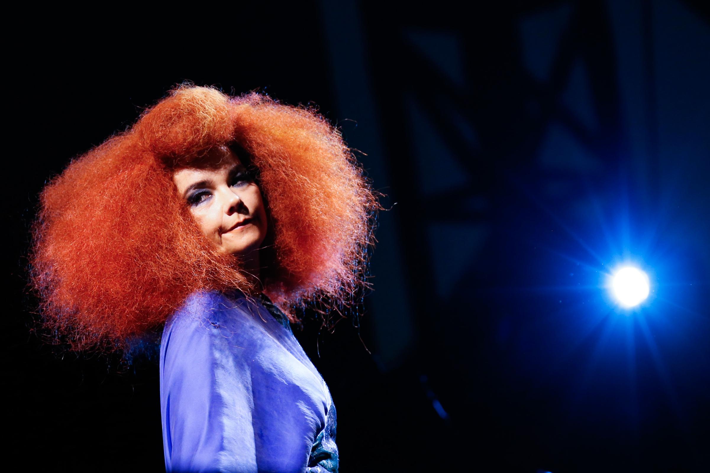 Björk performs in Ottawa, Canada on July 13, 2013.