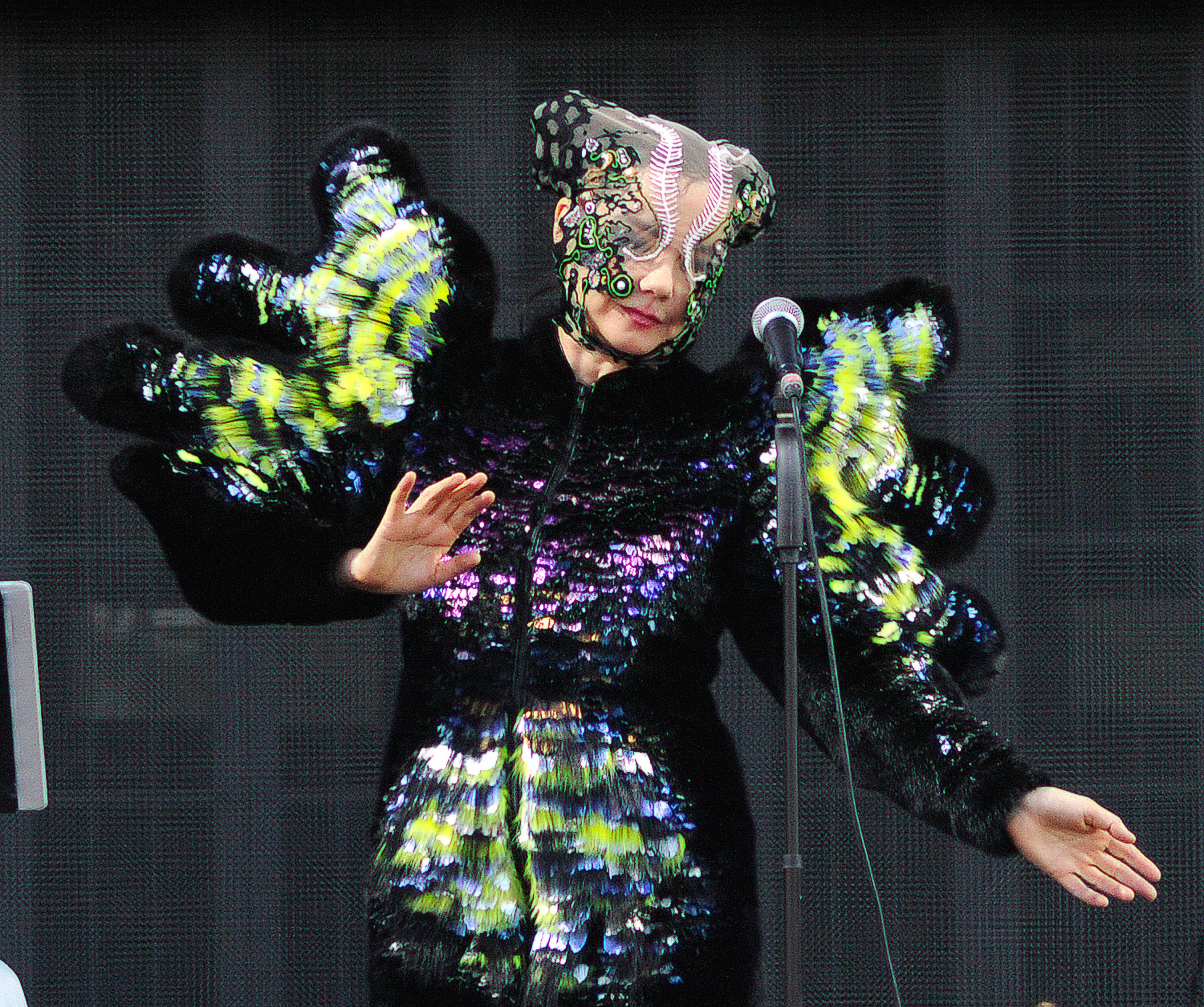 Björk performs during the 2015 Governors Ball Music Festival in New York City on June 6, 2015.