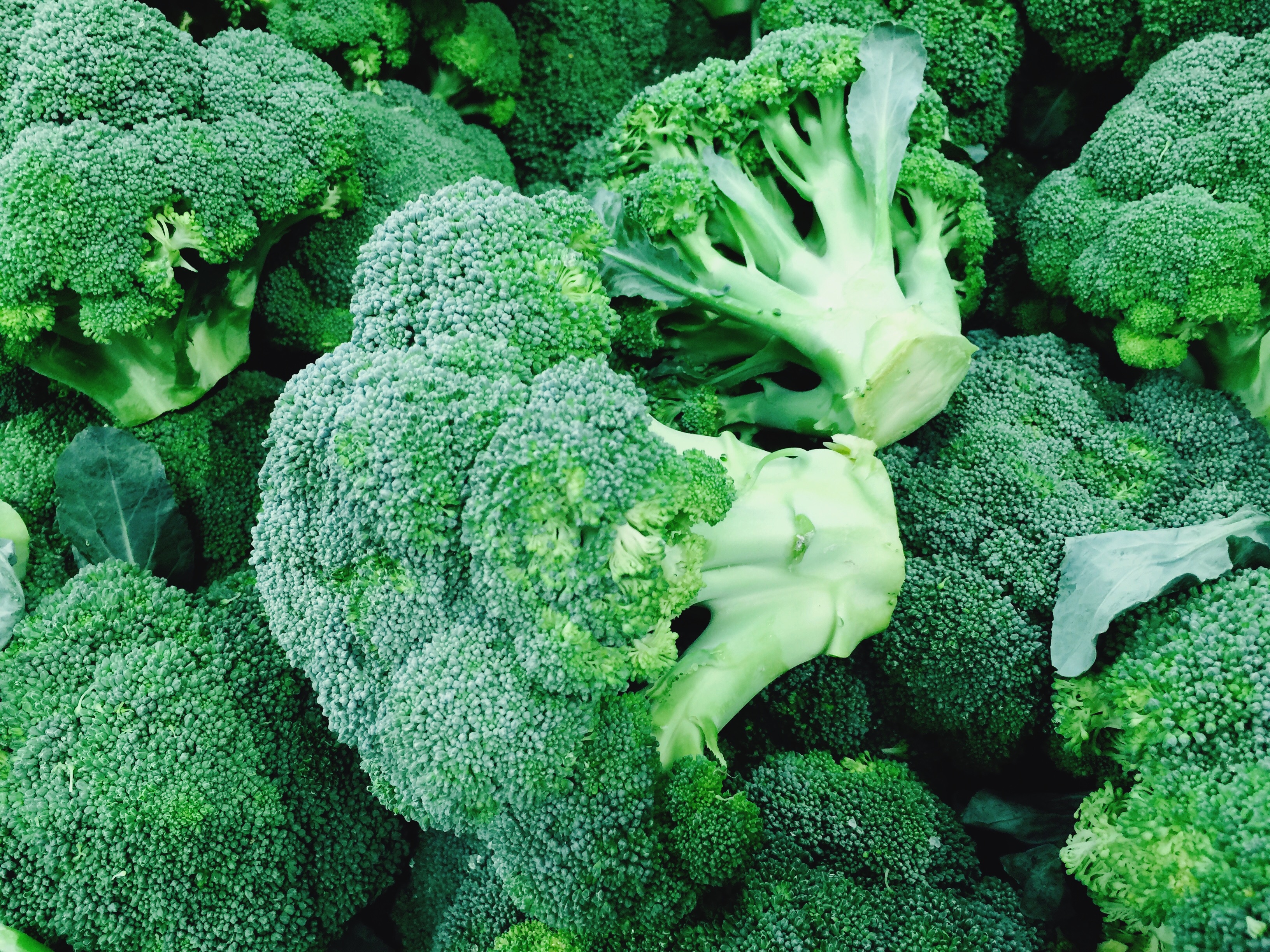 “Many brassicas sweeten after experiencing a frost, so now’s the time for them,” says O’Brady.