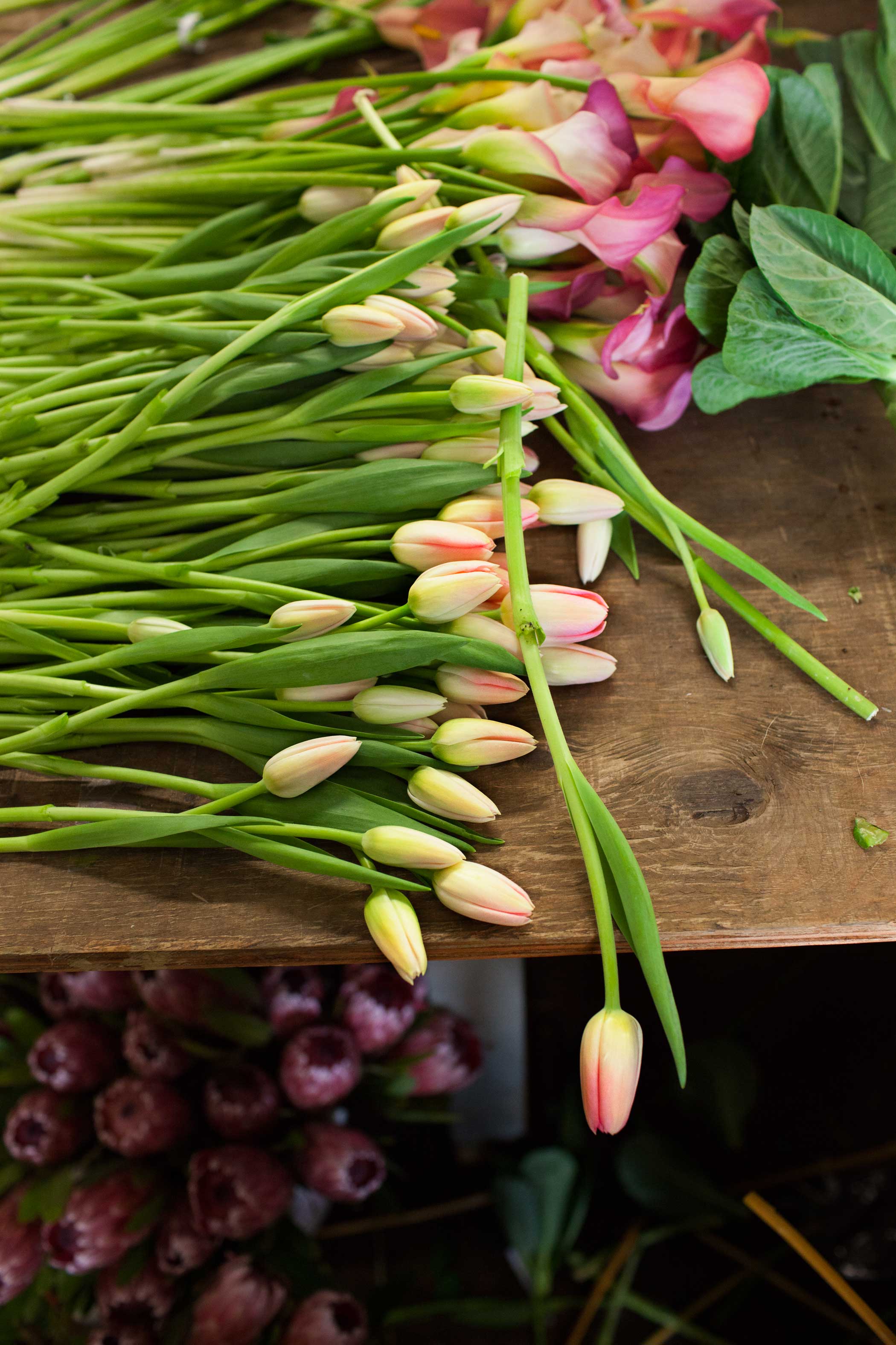 Tulips lie on the table before being added to arrangements.