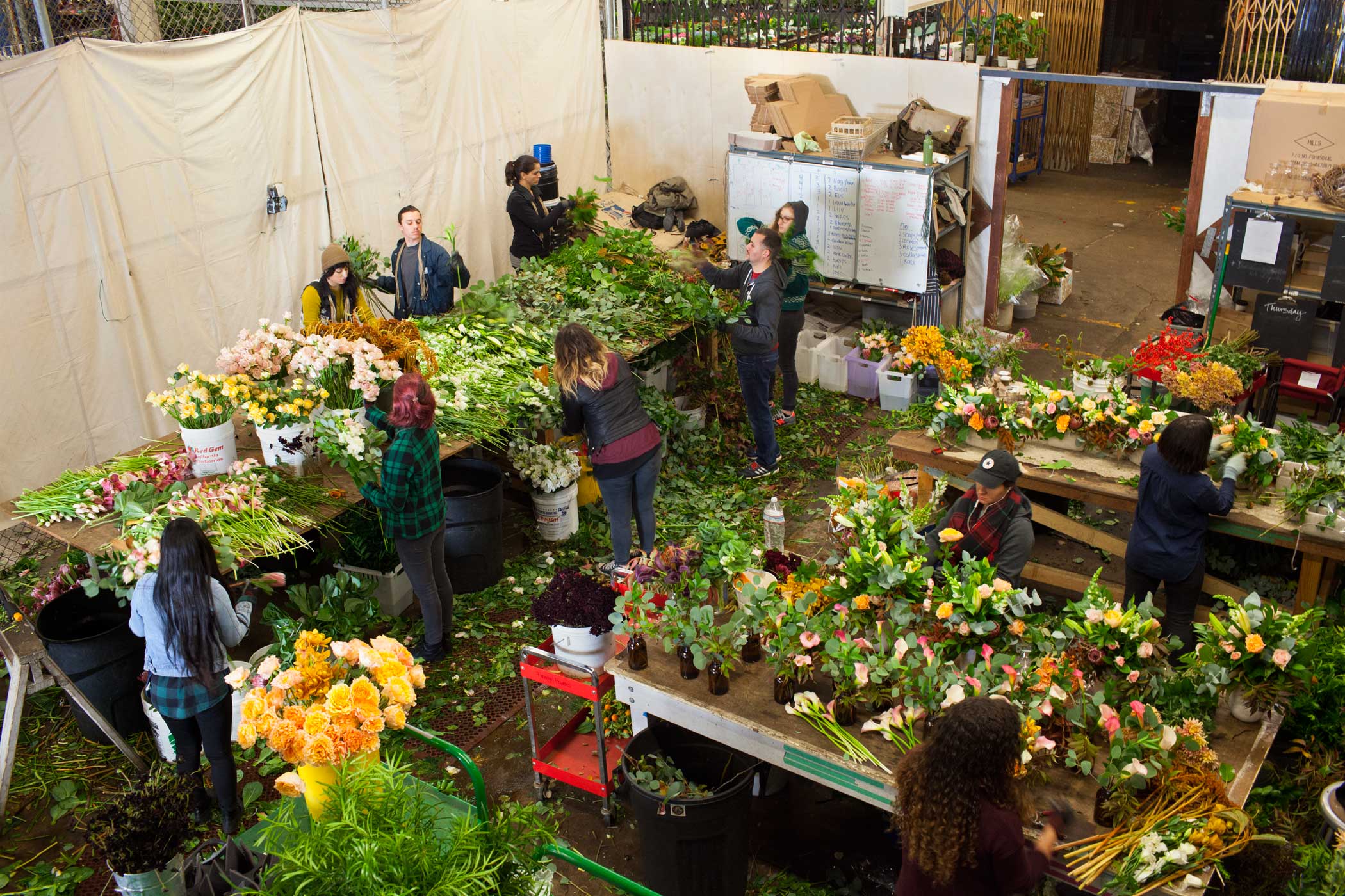 Employees sort flowers into bouquets at Farmgirl Flowers in San Francisco on Nov. 10, 2015.