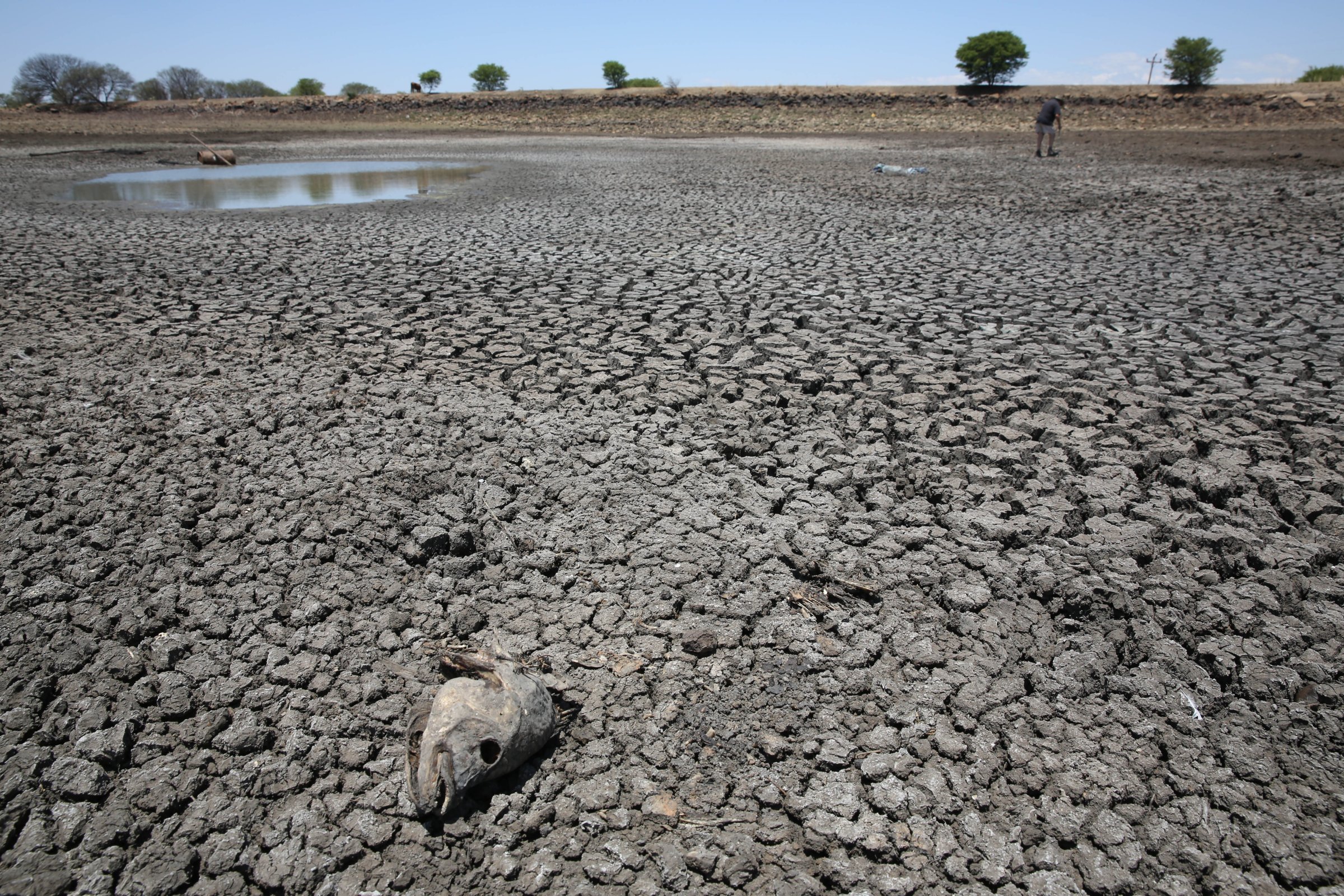 Drought Hits South Africa