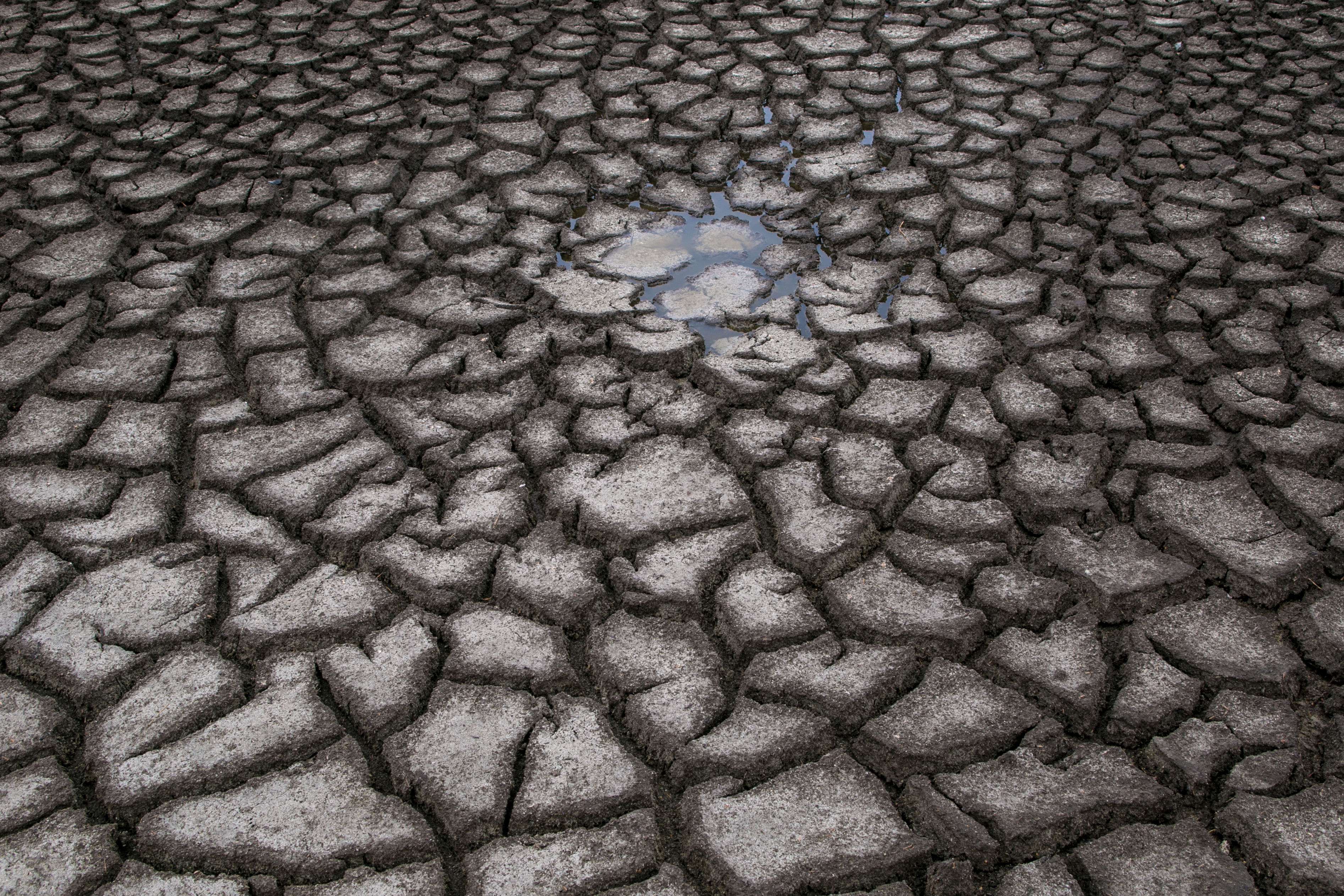 LOMPOC, CA - NOVEMBER 15:  A dried mud flat along a stretch of the now dry Santa Ynez River is viewed on November 15, 2015, near Lompoc, California. Because of its close proximity to Southern California and Los Angeles population centers, the coastal region of Santa Barbara has become a popular weekend getaway destination for millions of tourists each year. (Getty Images) (Getty Images)