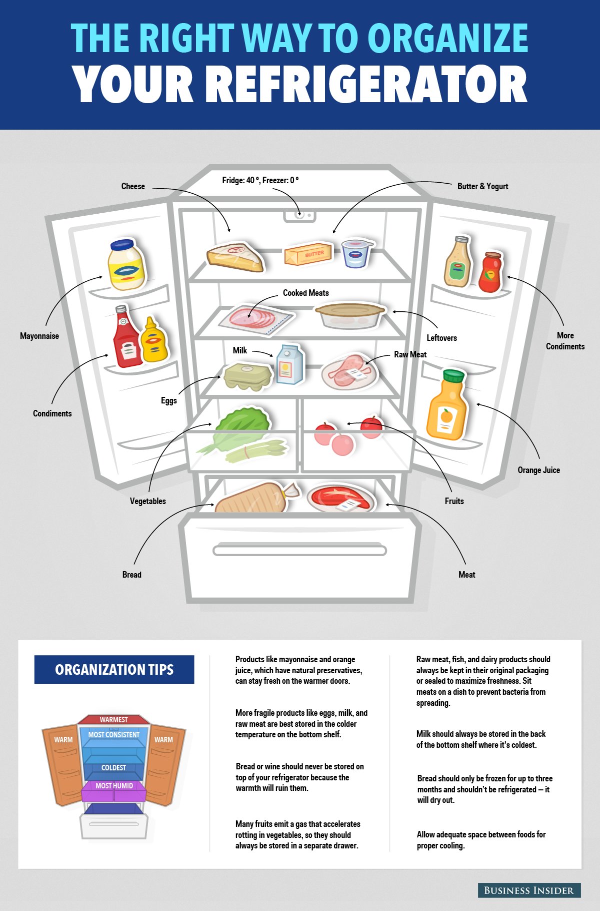 how-to-organize-refrigerator-fridge-infographic