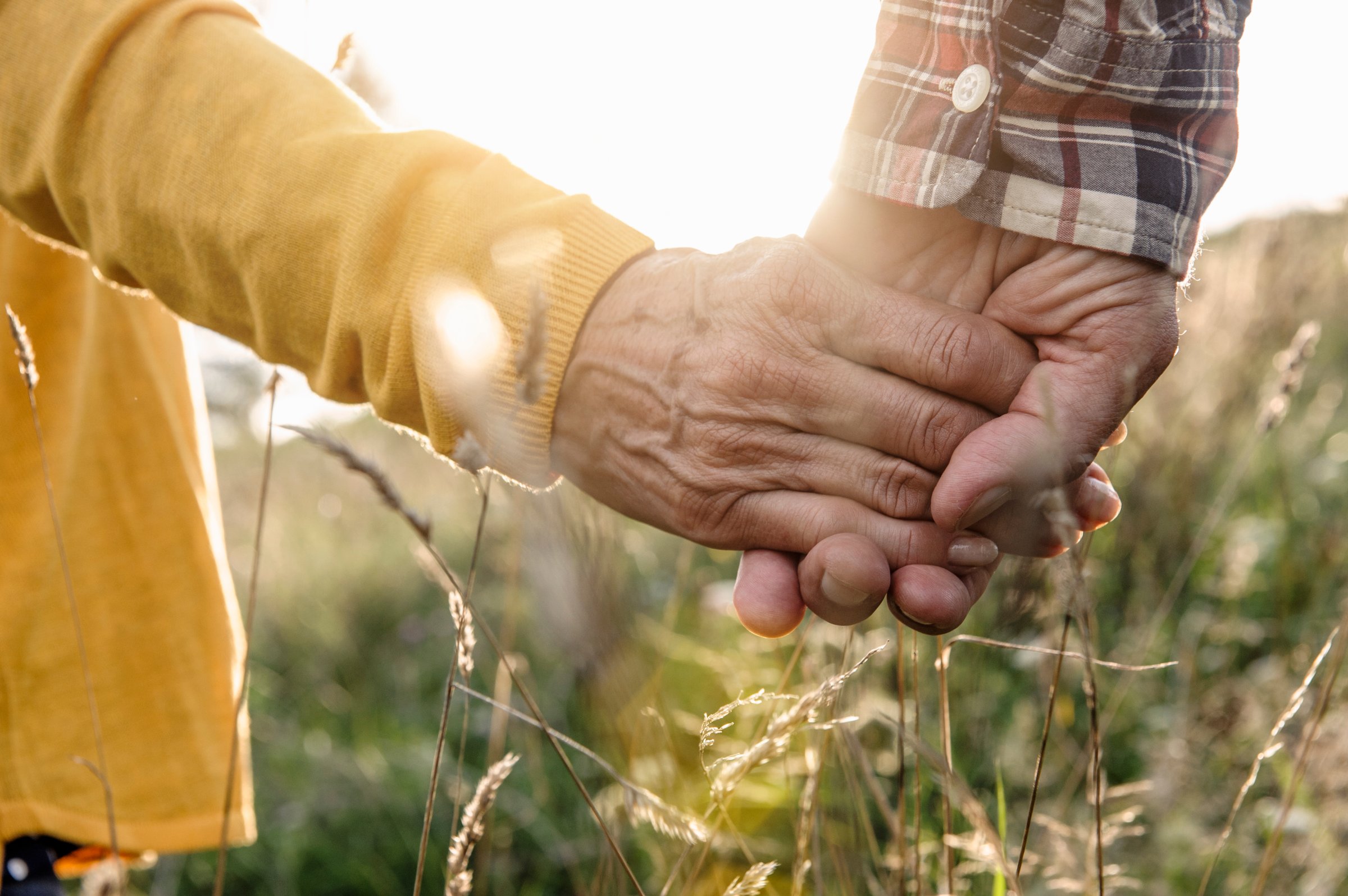mature-couple-holding-hands-meadow