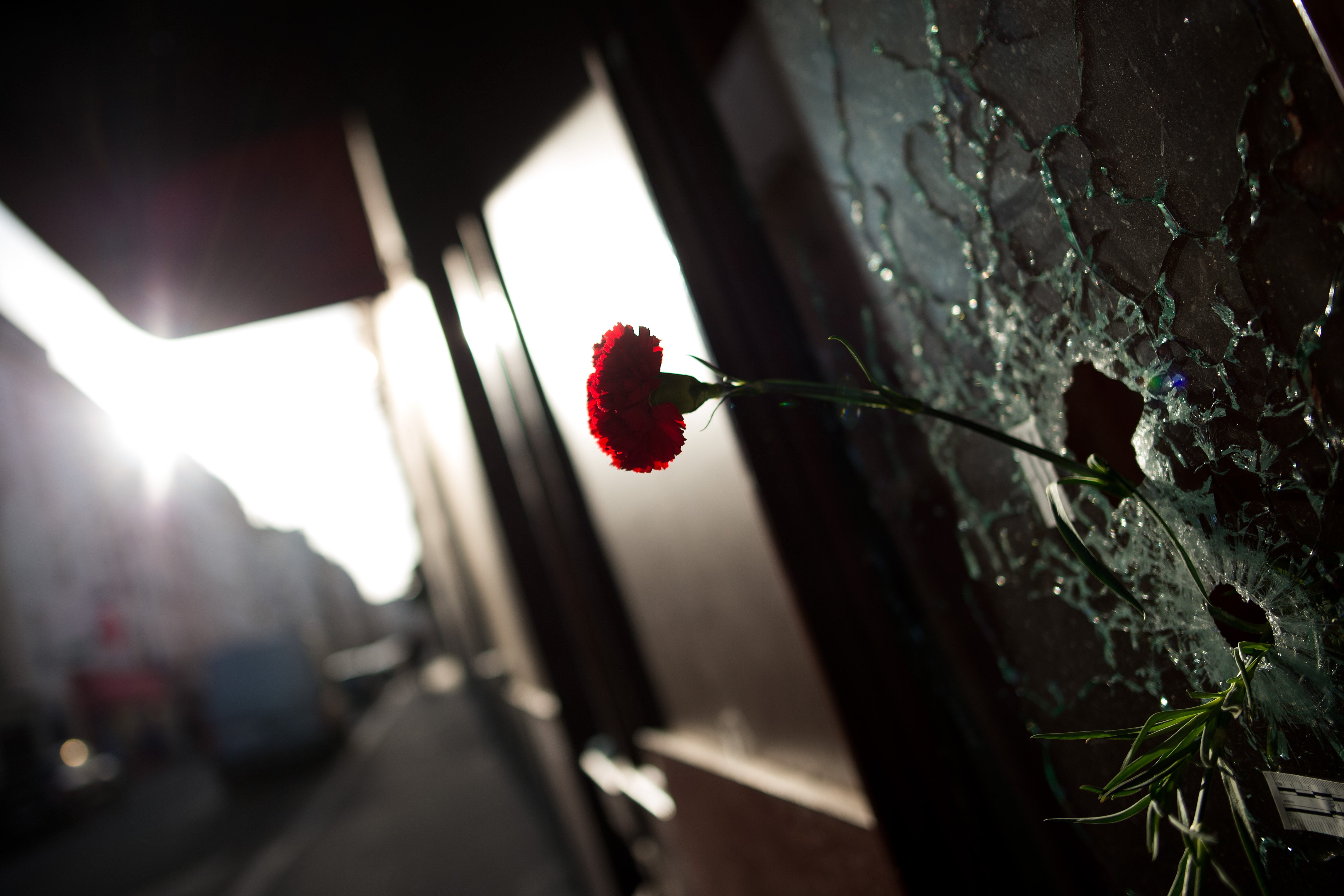 A flower is stuck in a bullet hole in the outside wall of the Café Carillon in the Rue Alibert in Paris on Nov. 15, 2015. (Marius Becker—dpa/Corbis)