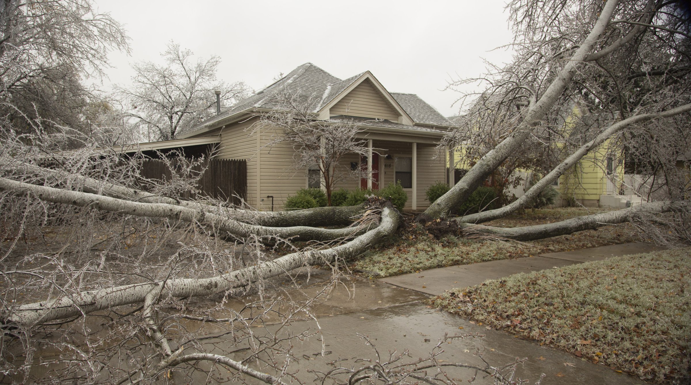 A 50 foot tall tree covers the front yard of a house after it broke in half due to ice an ice storm on November 28, 2015 in Edmond, Oklahoma.