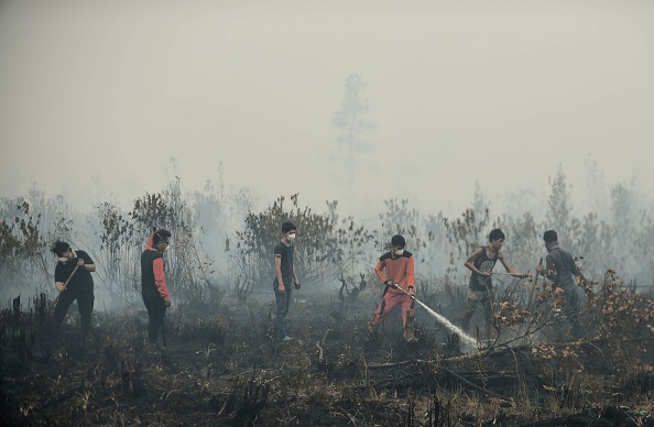 Volunteers extinguishing a peatland fire on Oct. 27, 2015, in the outskirts of Palangkaraya, in Indonesia's Central Kalimantan province, where respiratory illnesses have soared as the smog has worsened (Bay Ismoyo—AFP/Getty Images)