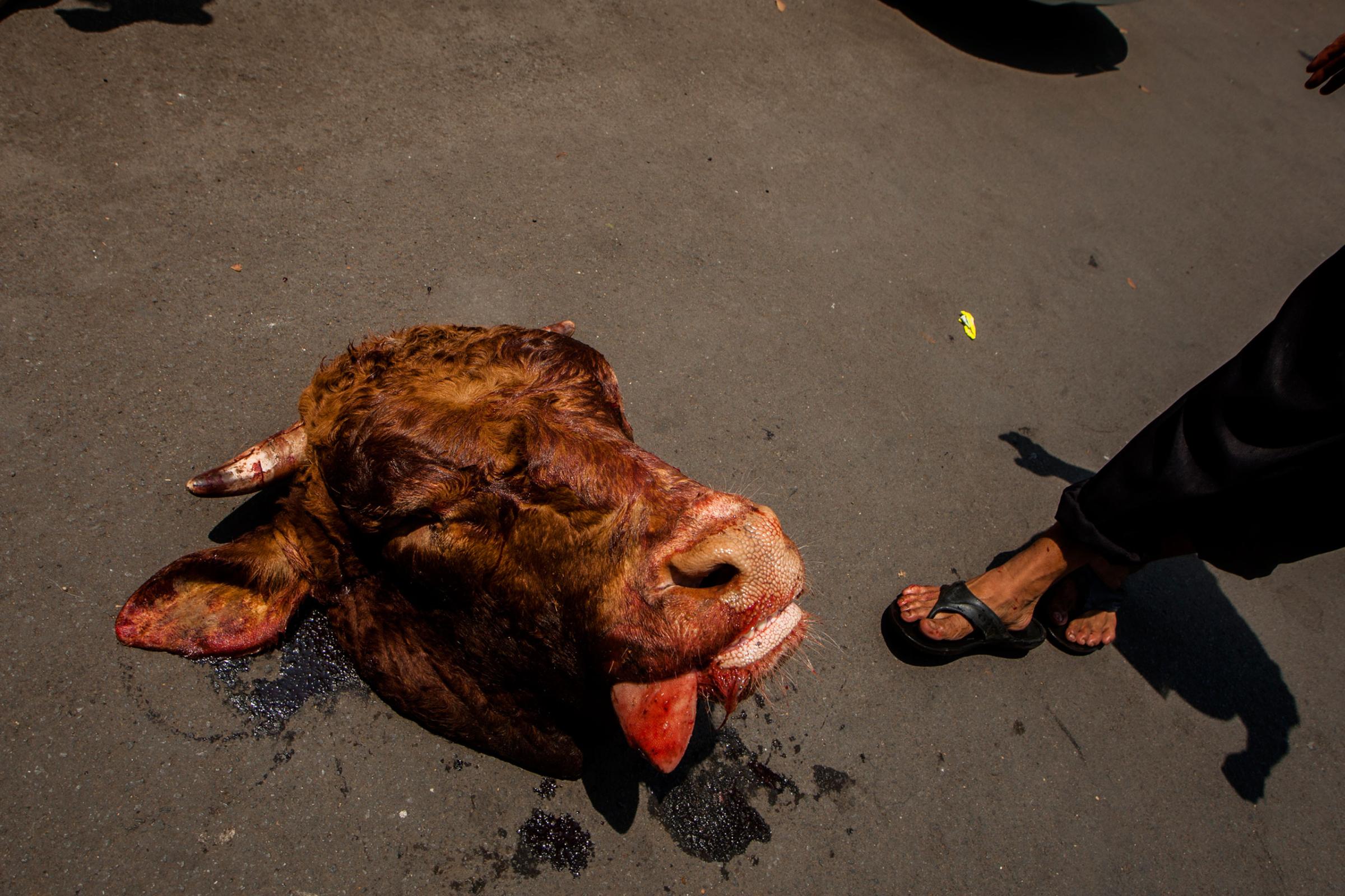 The head of a cow after slaughter is seen during celebrations of Eid al-Adha at Sunda Kelapa Mosque in Jakarta, Indonesia, Sept. 24, 2015