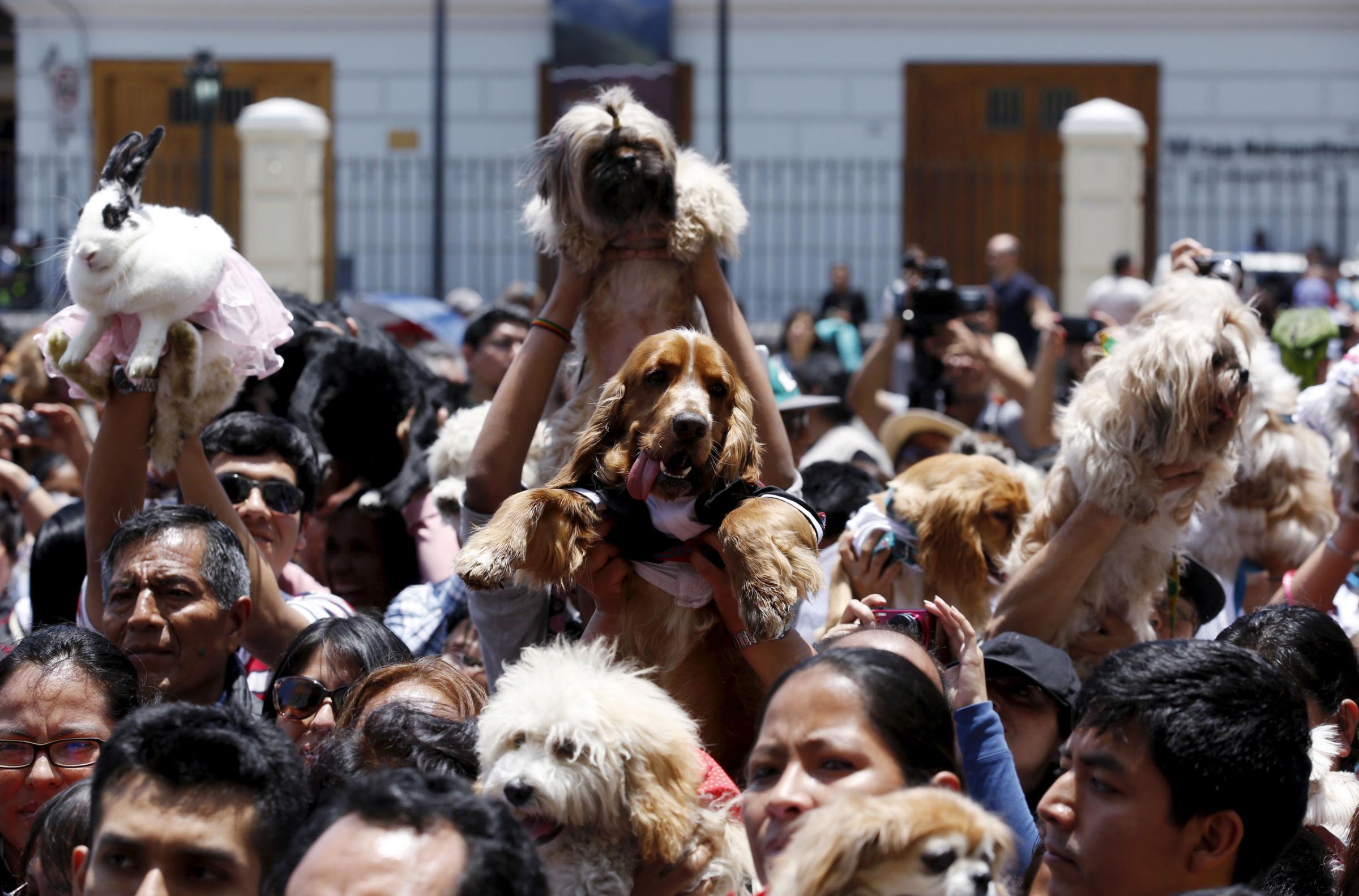 Owners holding their pets attend a religious and blessing ceremony outside the San Francisco church in Lima