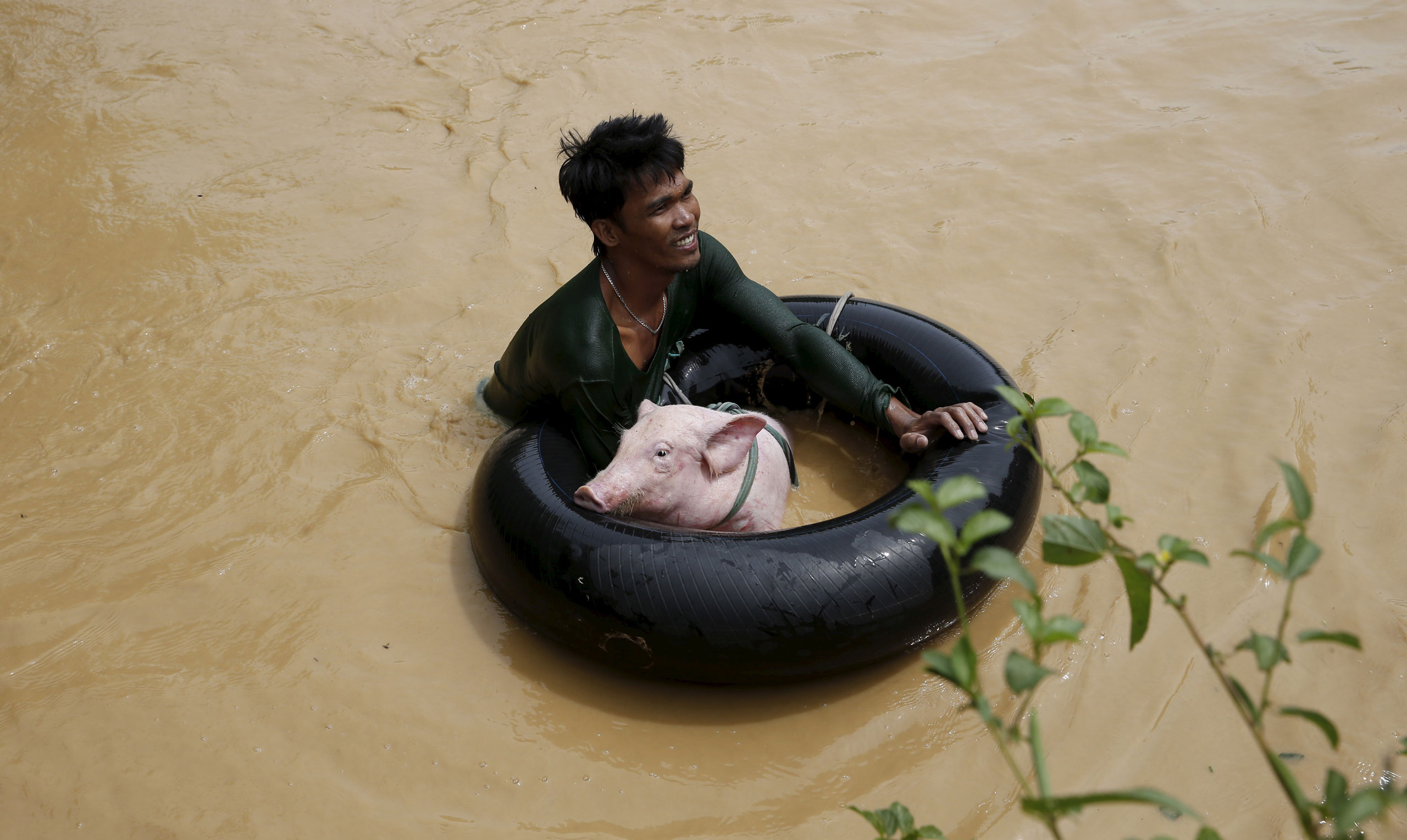 A man holds a pig on a float to cross a flooded road amidst a strong current in Sta Rosa, Nueva Ecija in northern Philippines. Oct. 19, 2015, after the area was hit by Typhoon Koppu.