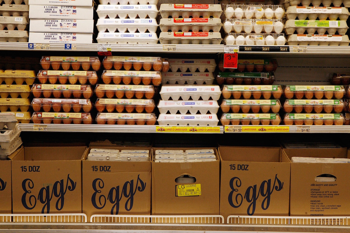 Cartons of eggs sit on a cooler shelf at a Safeway gocery store August 20, 2007 in Washington, DC. (Chip Somodevilla—Getty Images)