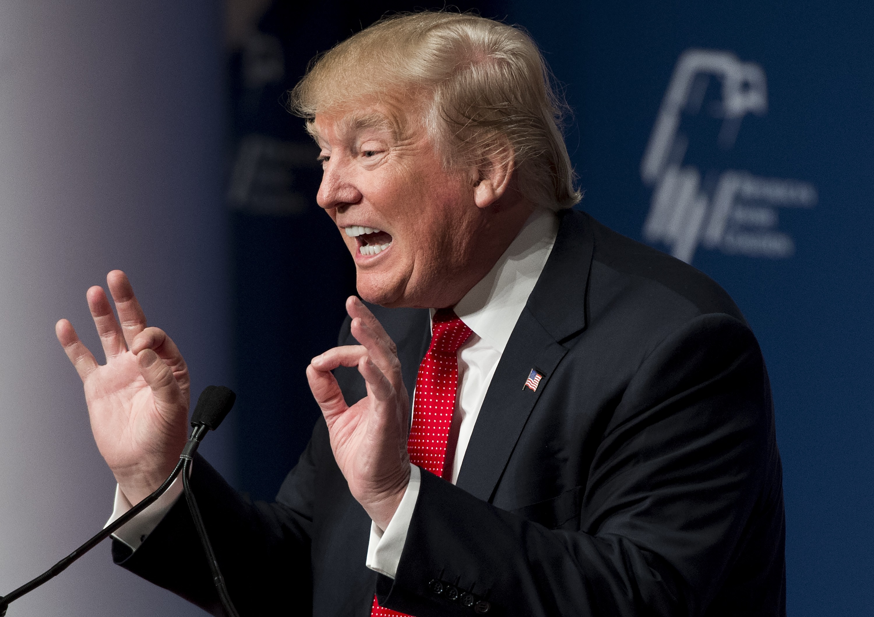 Republican Presidential hopeful Donald Trump speaks during the 2016 Republican Jewish Coalition Presidential Candidates Forum in Washington on Dec. 3, 2015. (SAUL LOEB&mdash;AFP/Getty Images)