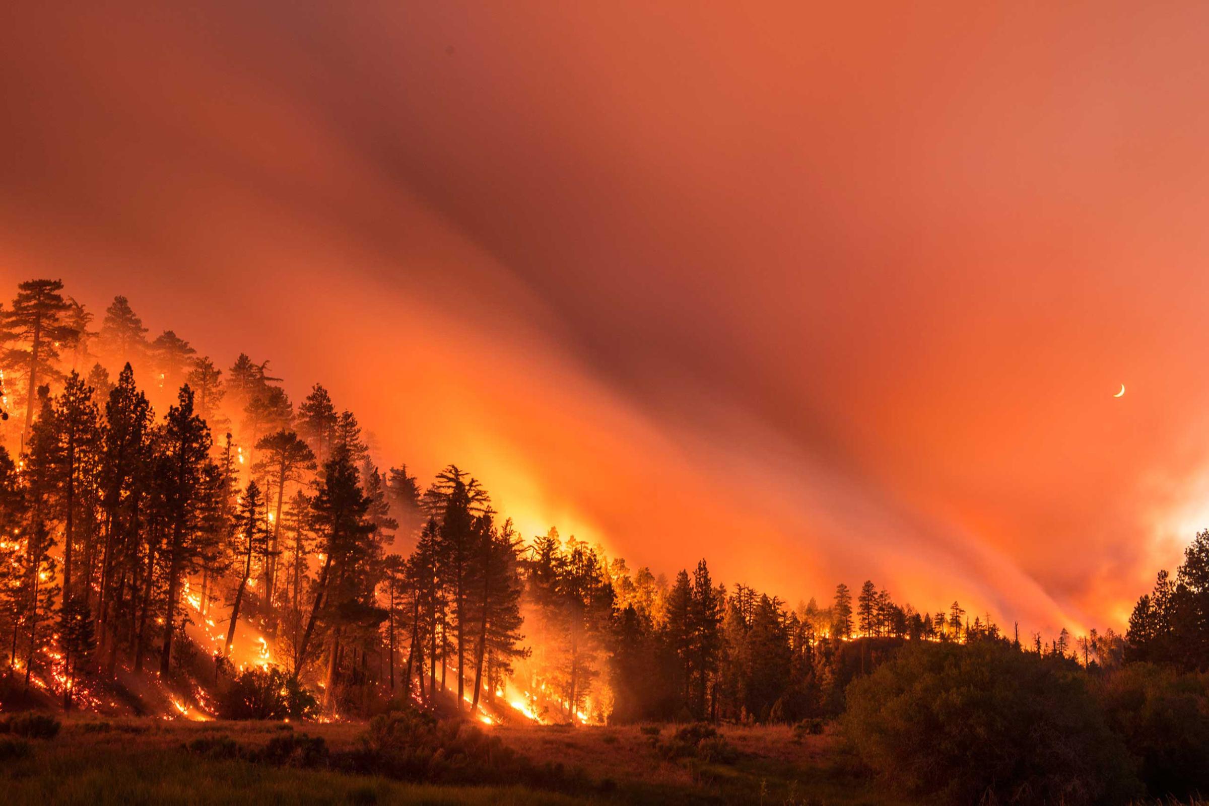 The Lake Fire burns in the San Bernardino National Forest in Calif. on June 18, 2015.