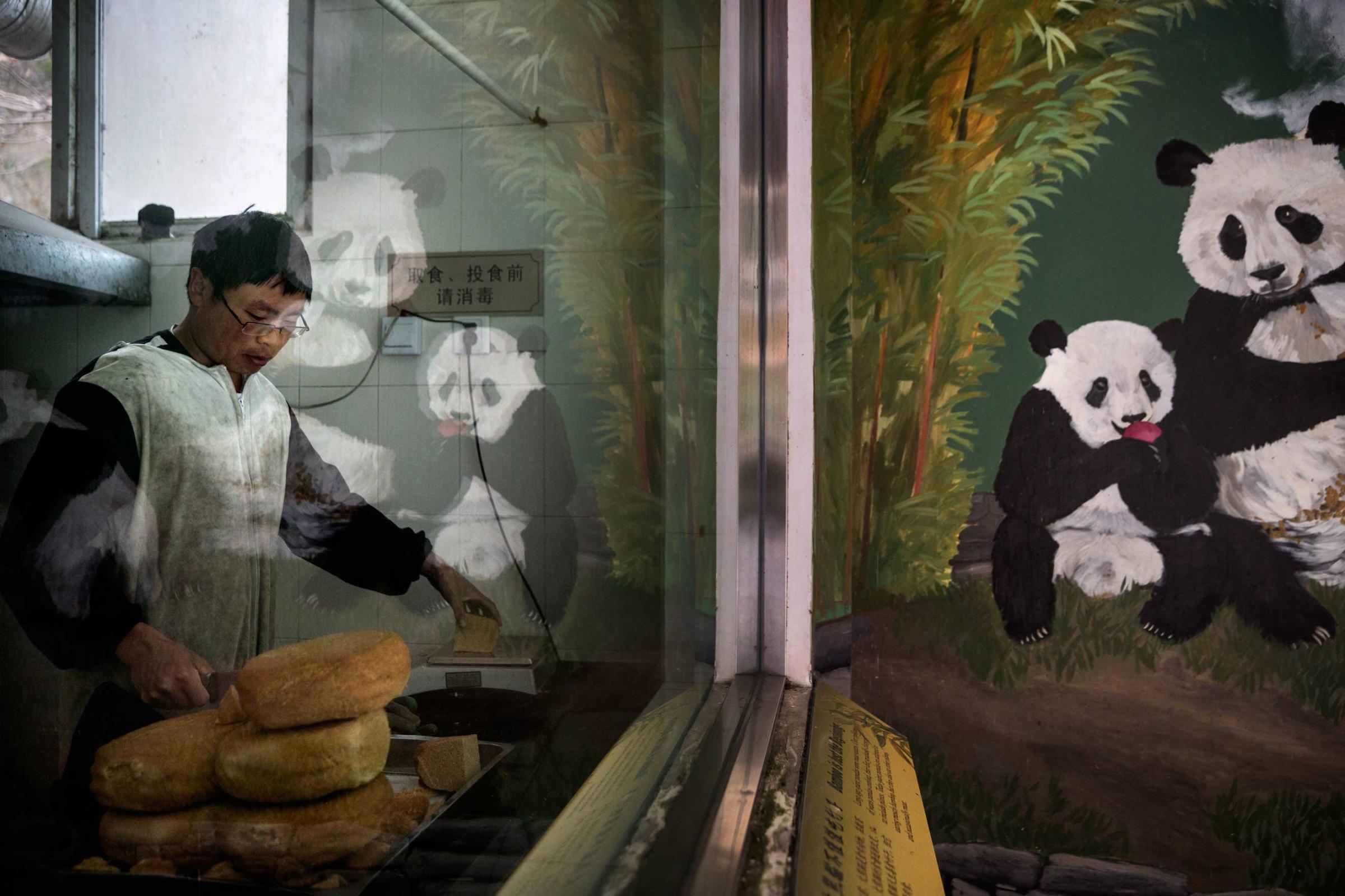 A panda mural is reflected in the window where specially made bread for the pandas is prepared, Dec. 2, 2015.
