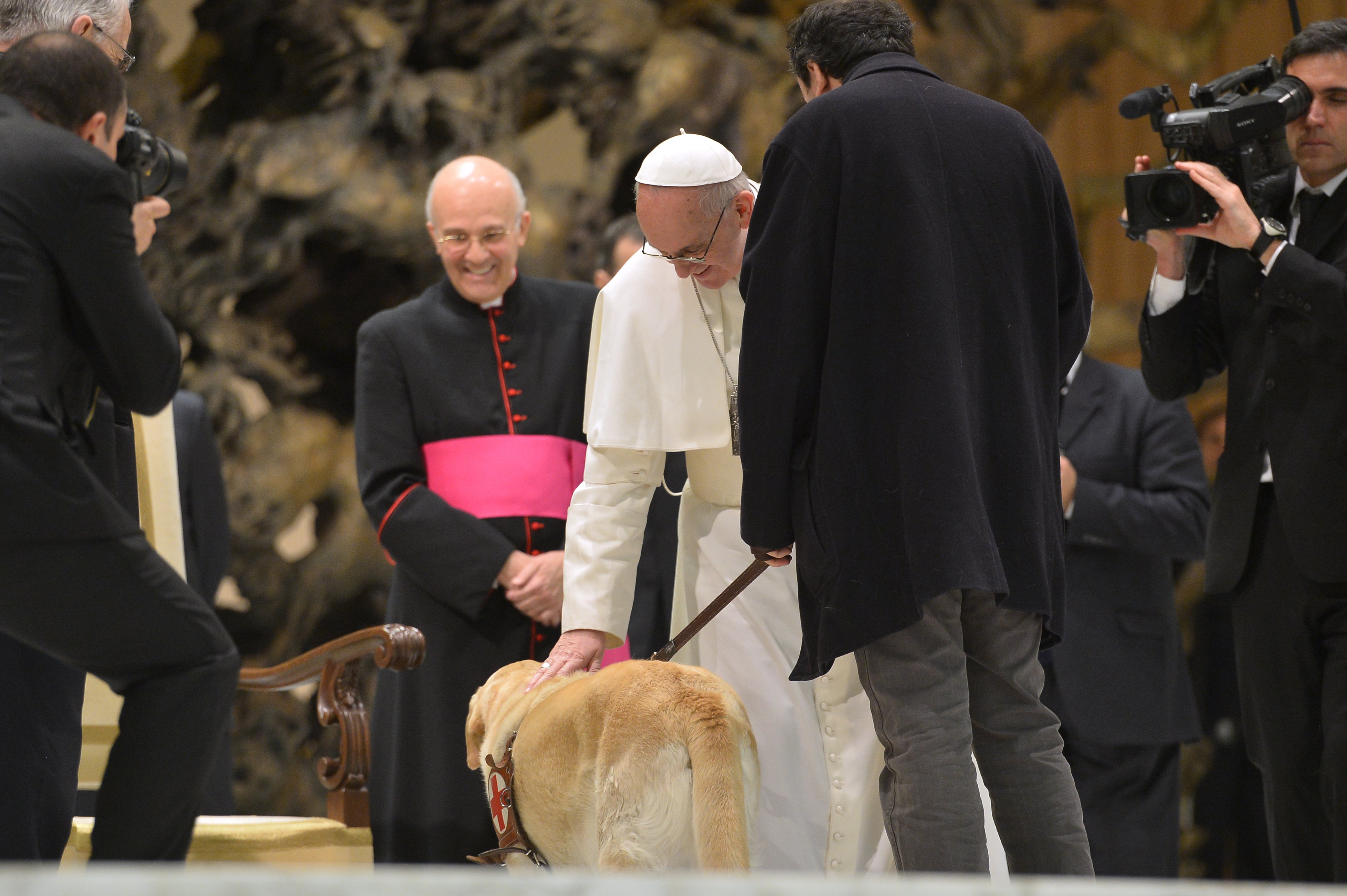 Pope Francis caresses a guide dog during a private audience to members of the media on March 16, 2013 at the Paul VI hall at the Vatican. (ALBERTO PIZZOLI—AFP/Getty Images)